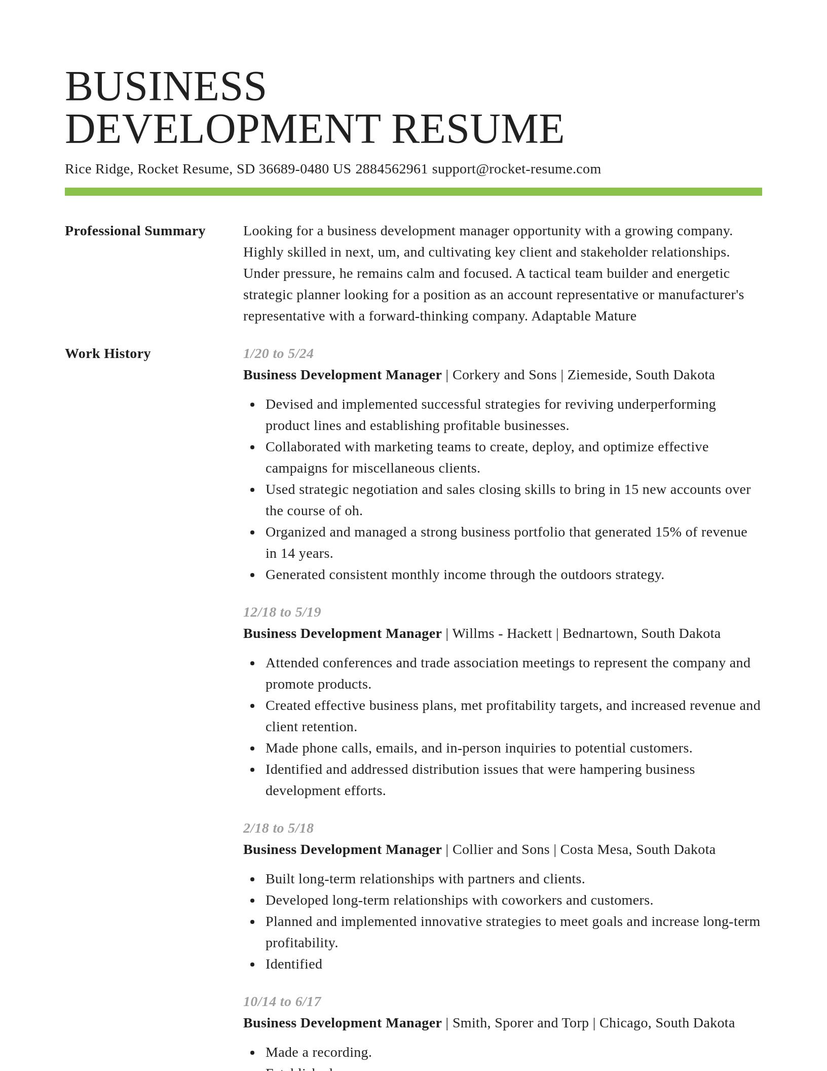 Smart resume template