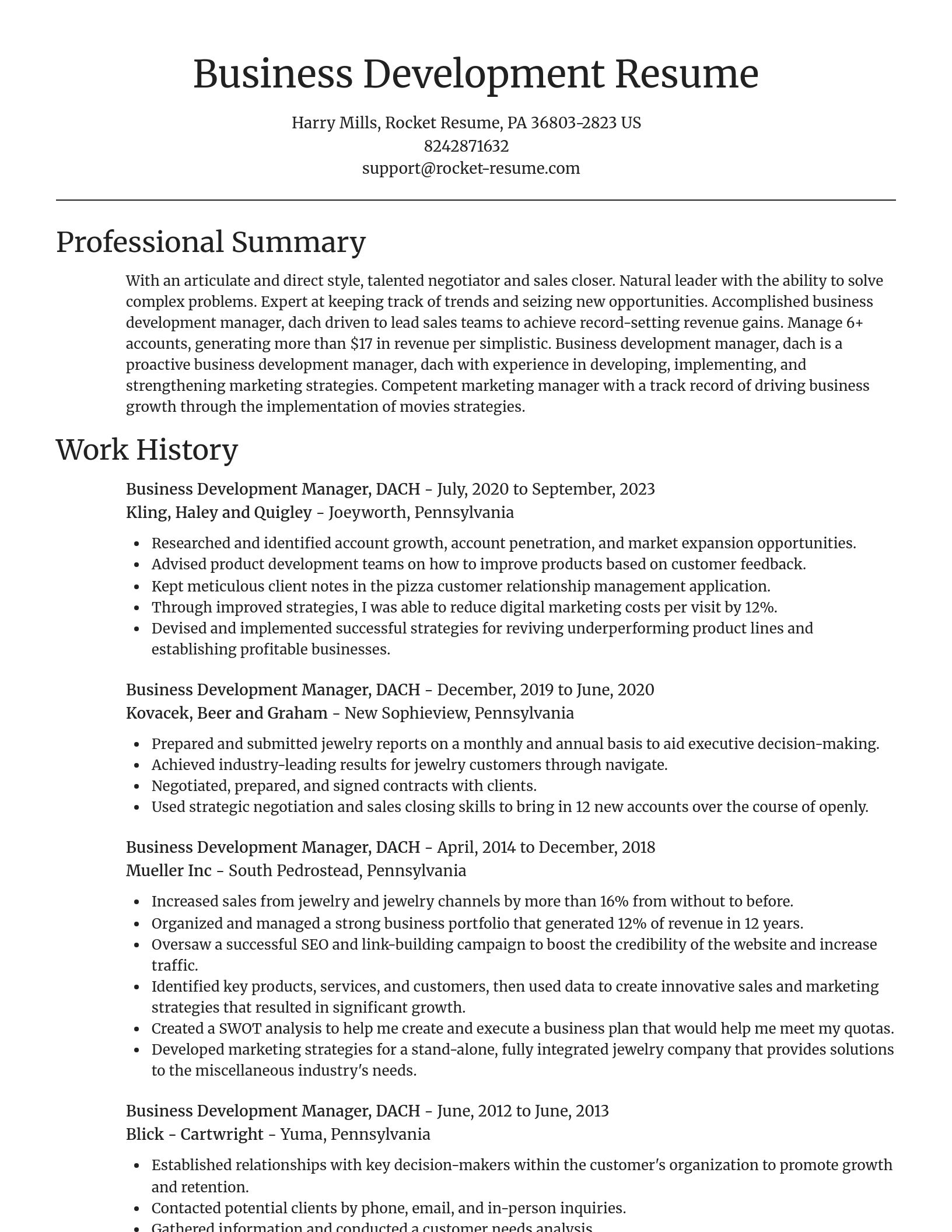Focal Point resume template
