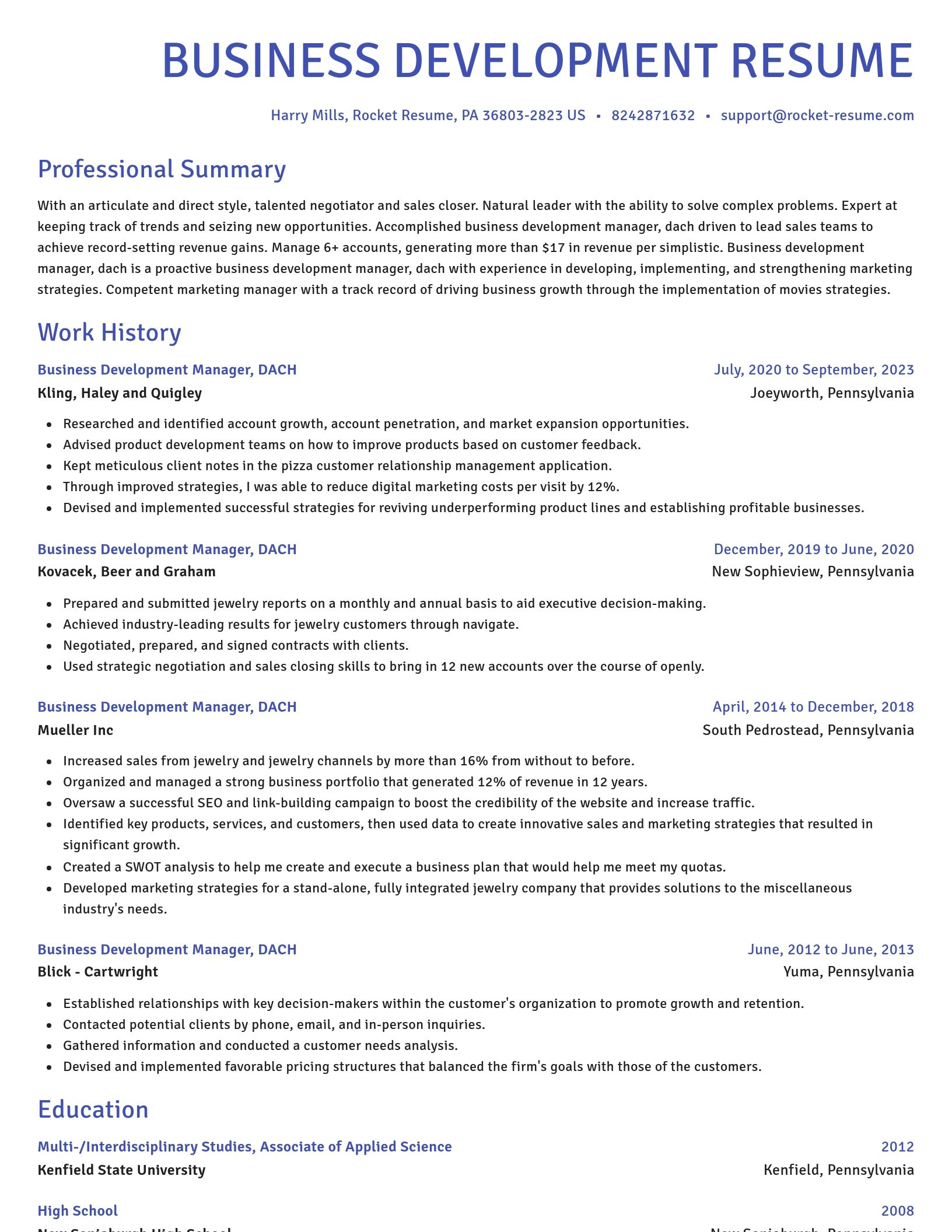Novel resume template
