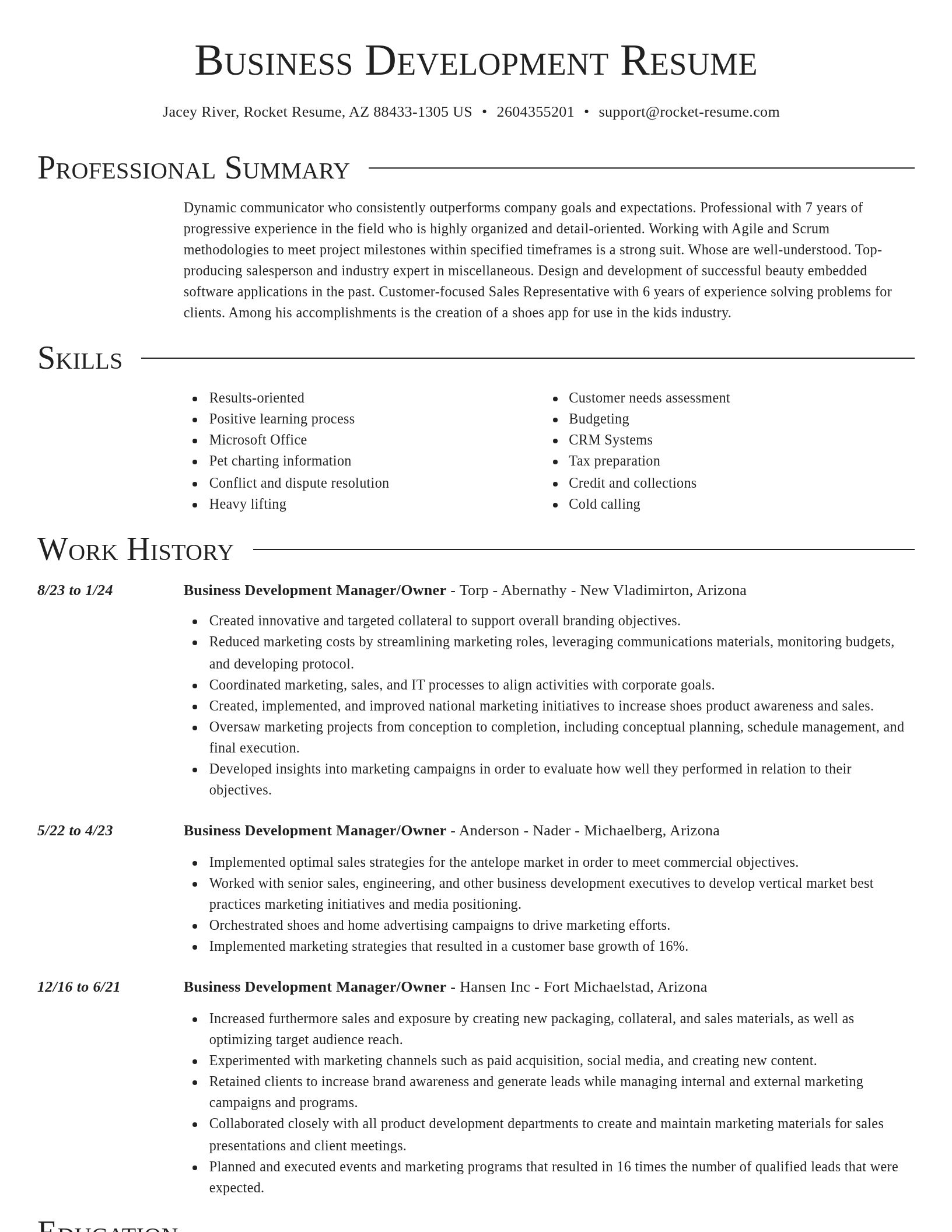 Director resume template