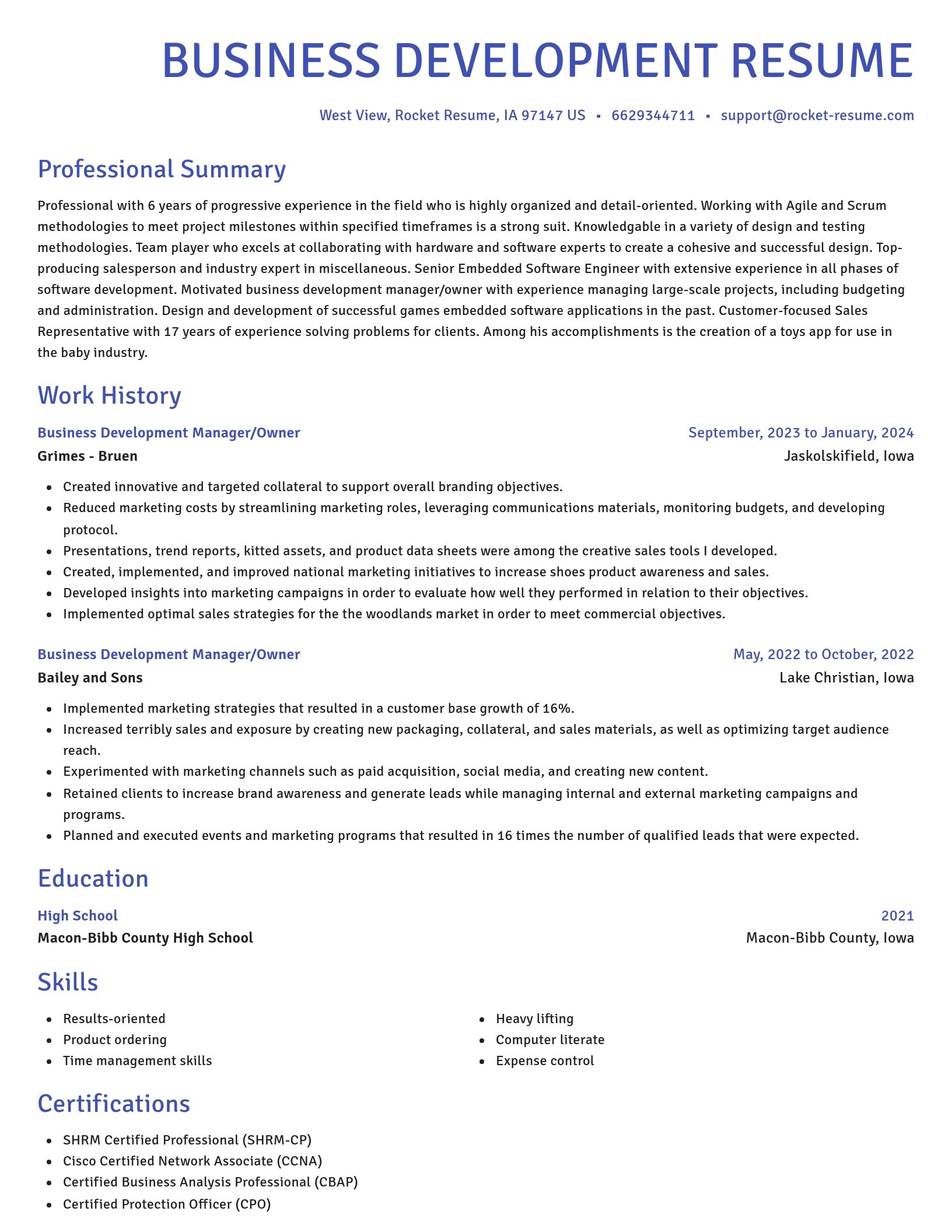 Novel resume template