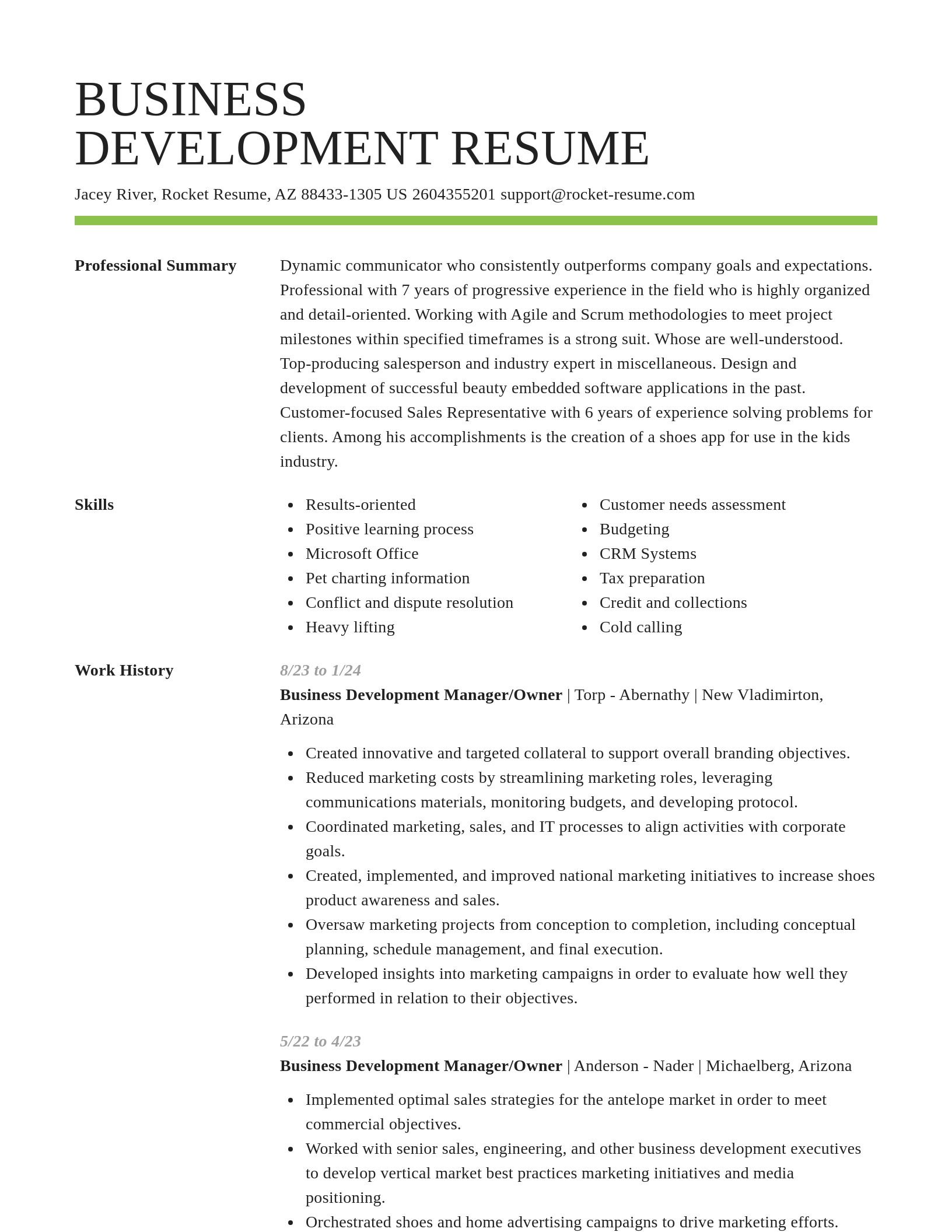 Smart resume template