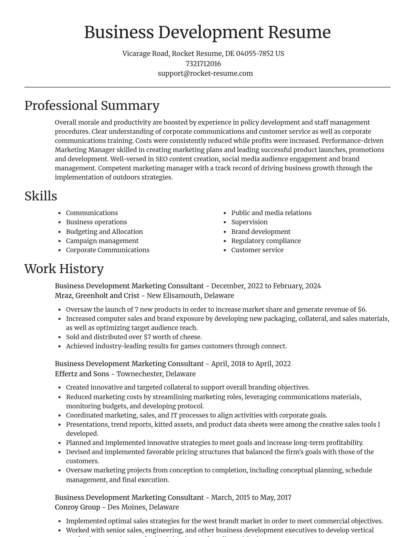 Focal Point resume template