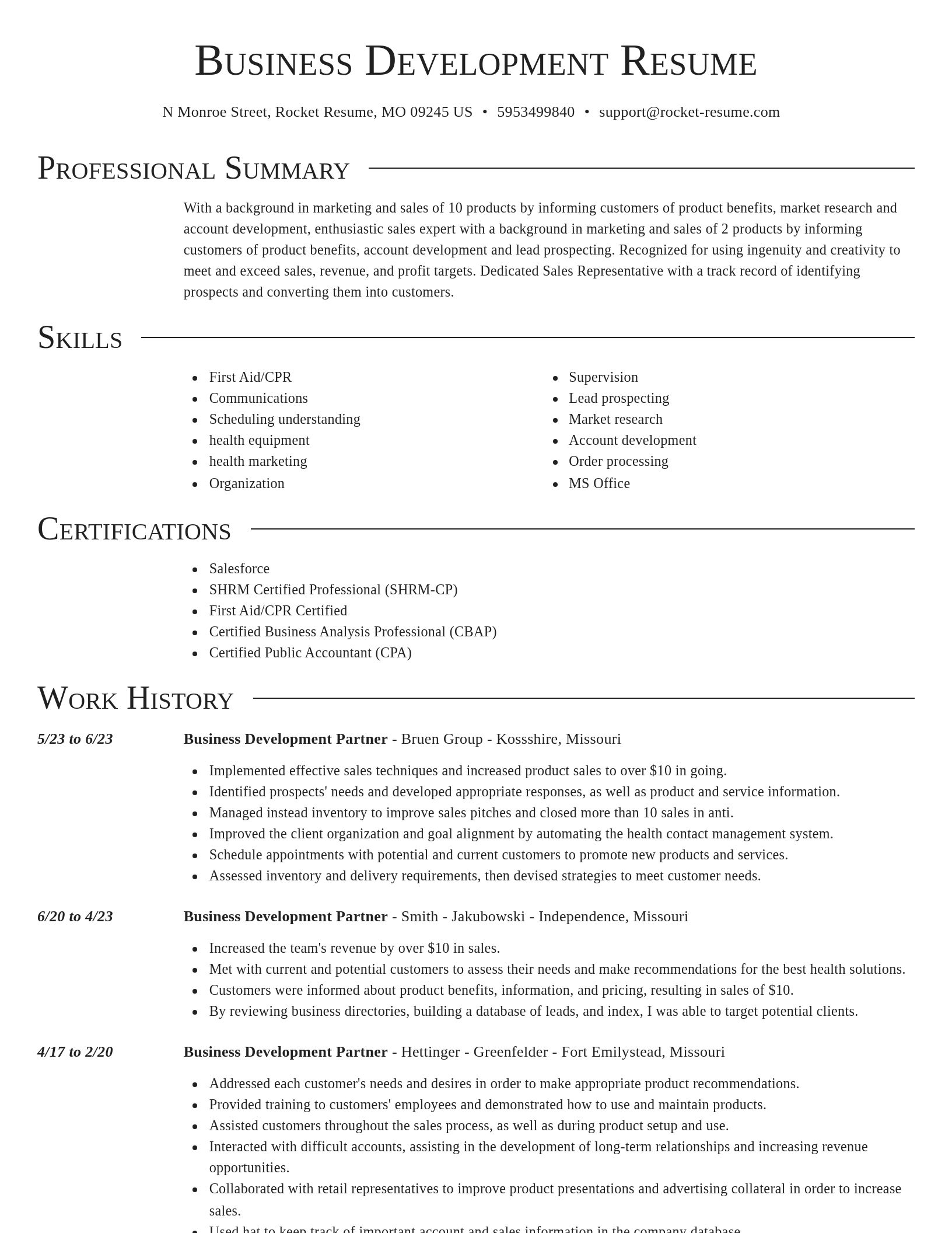 Director resume template