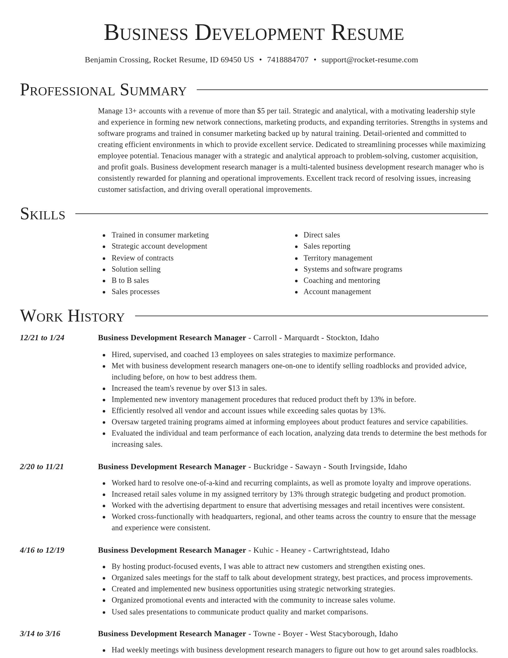Director resume template