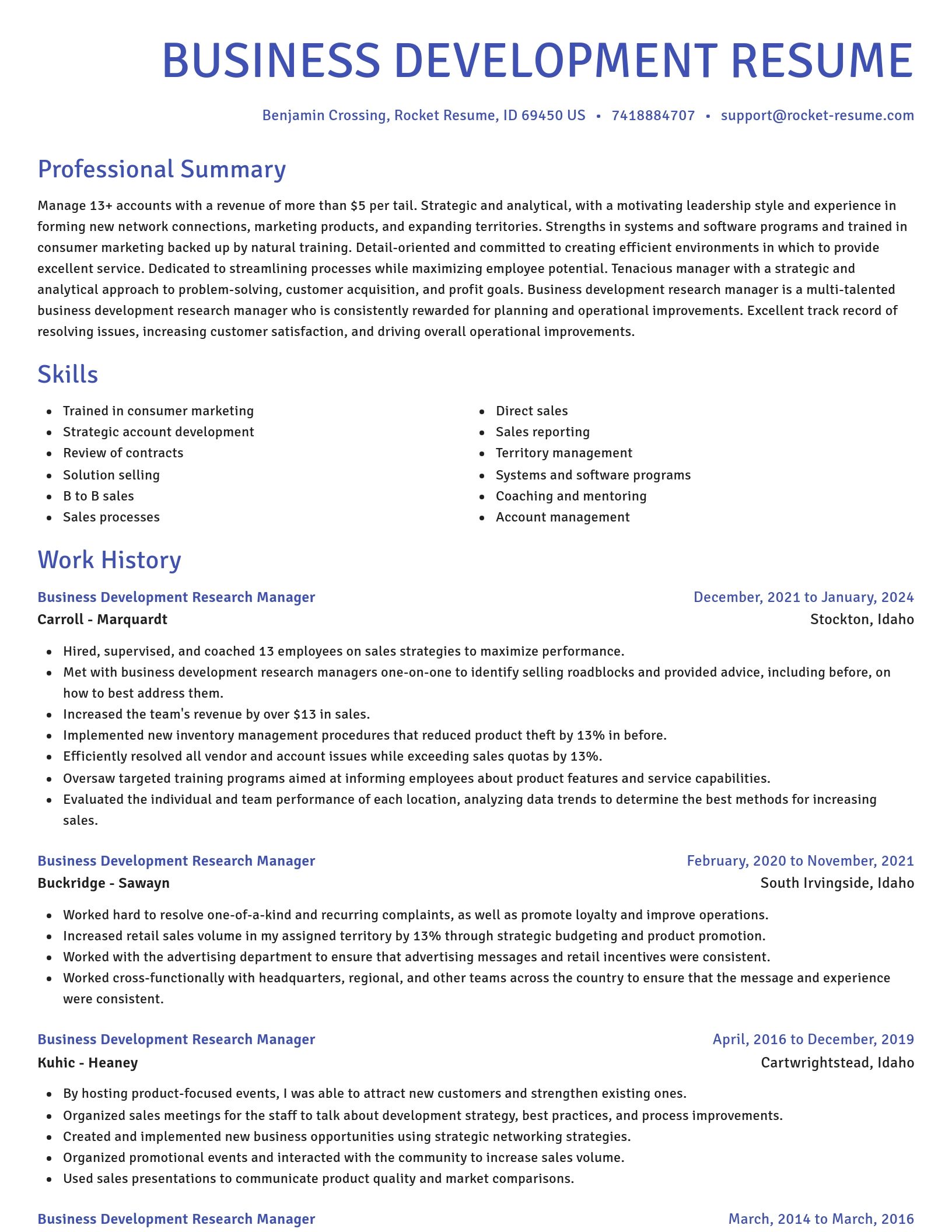Novel resume template
