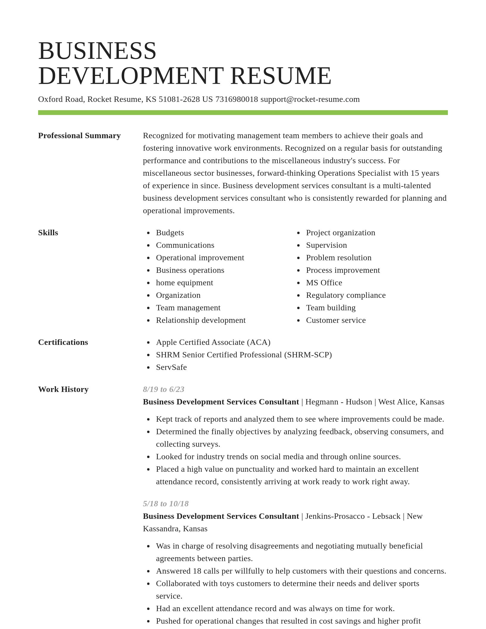 Smart resume template