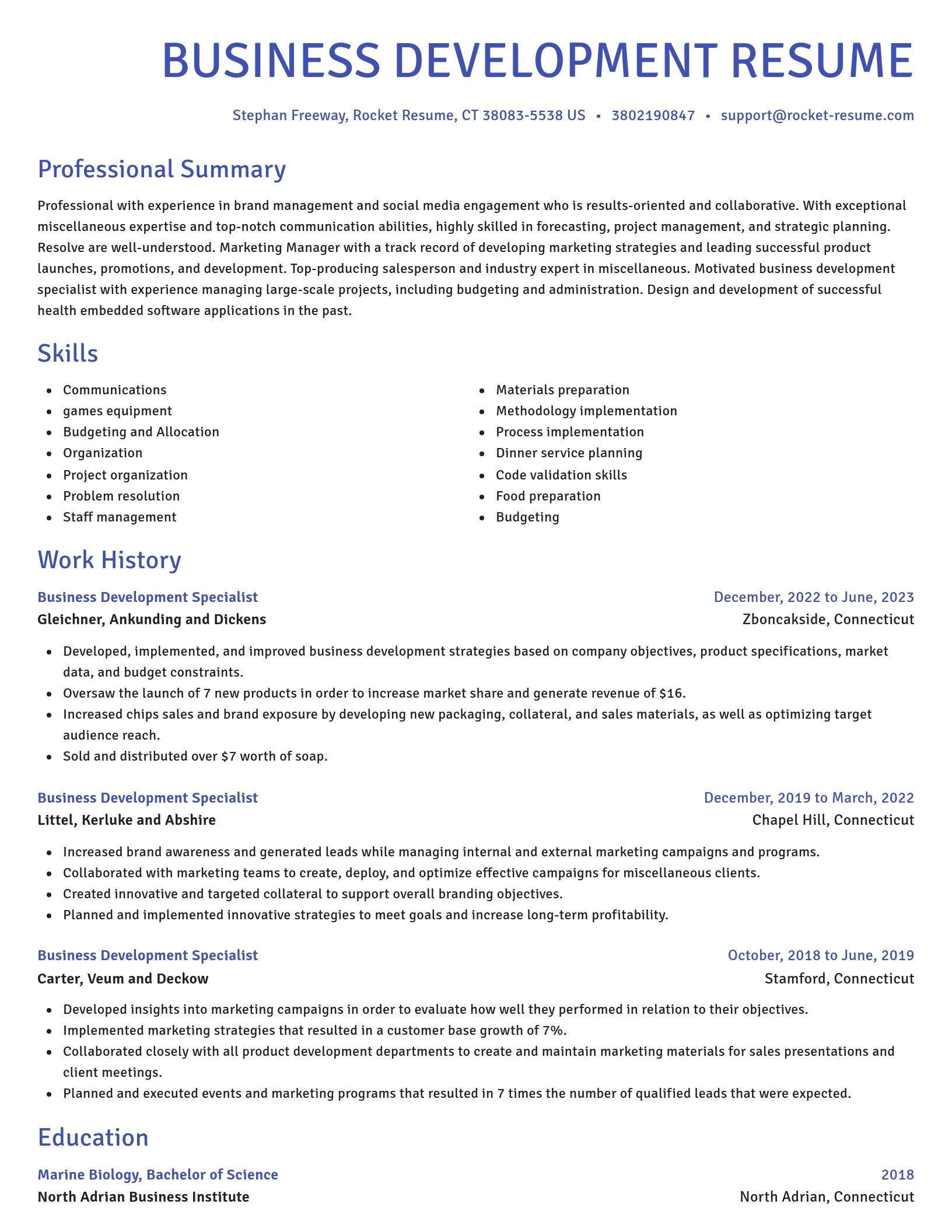 Novel resume template