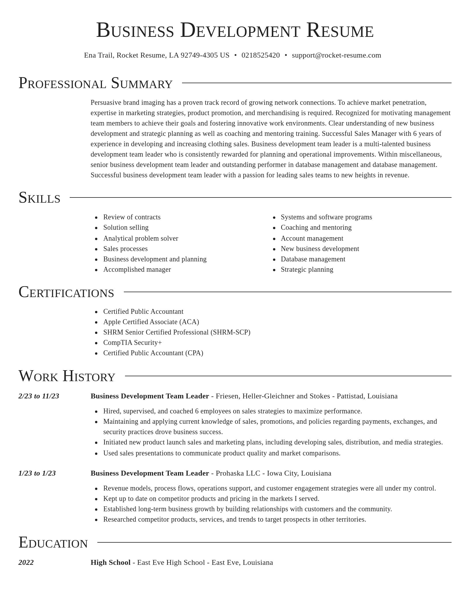 Director resume template