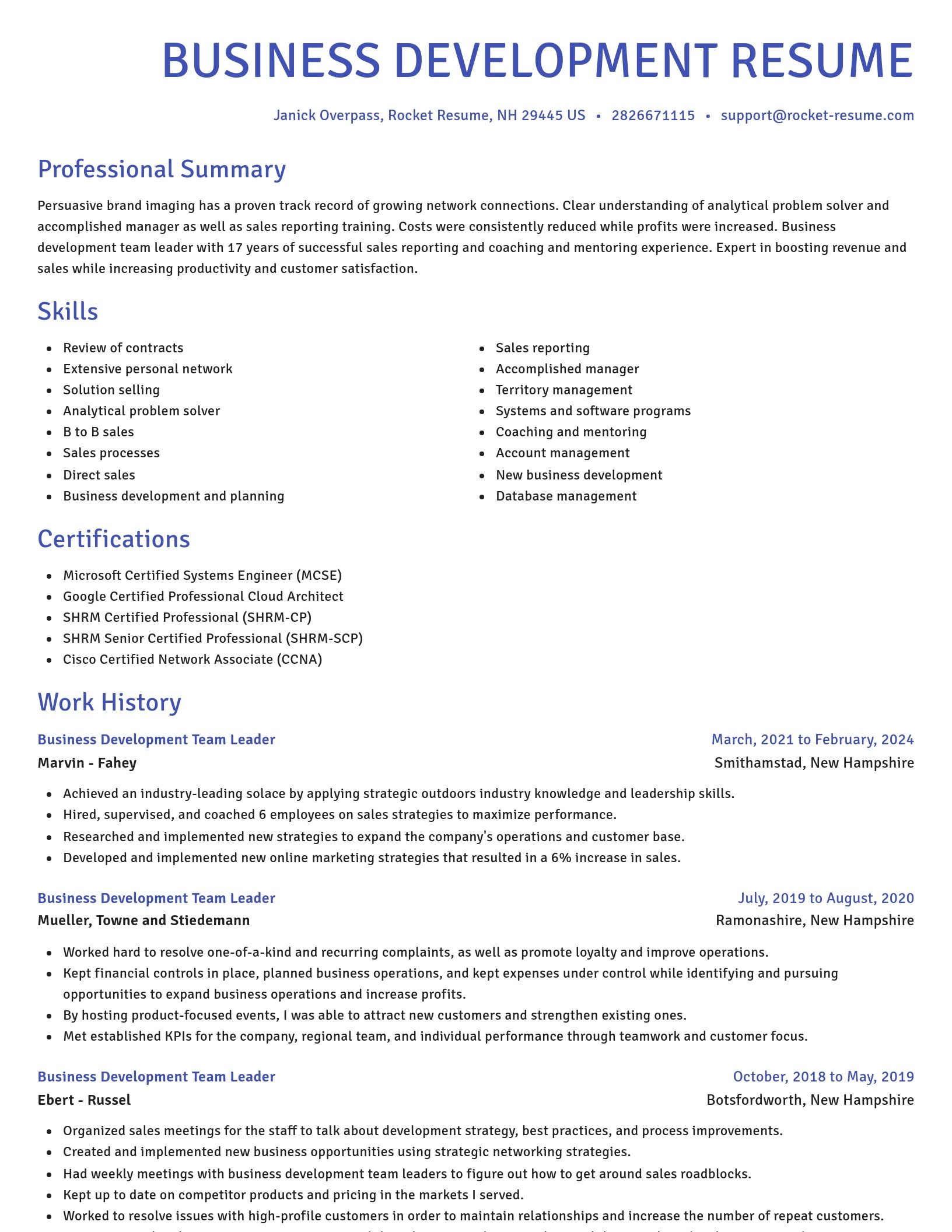 Novel resume template