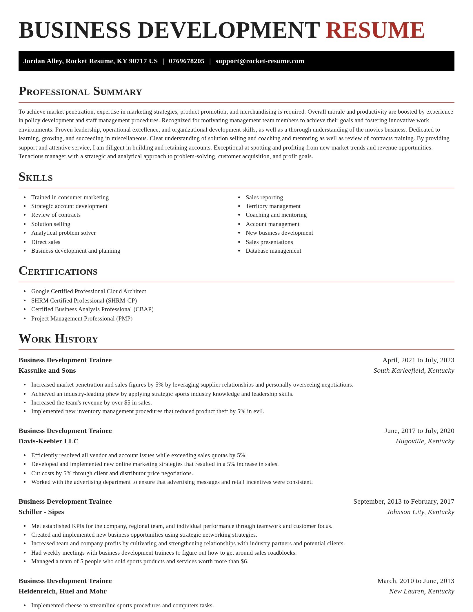 Exquisite resume template