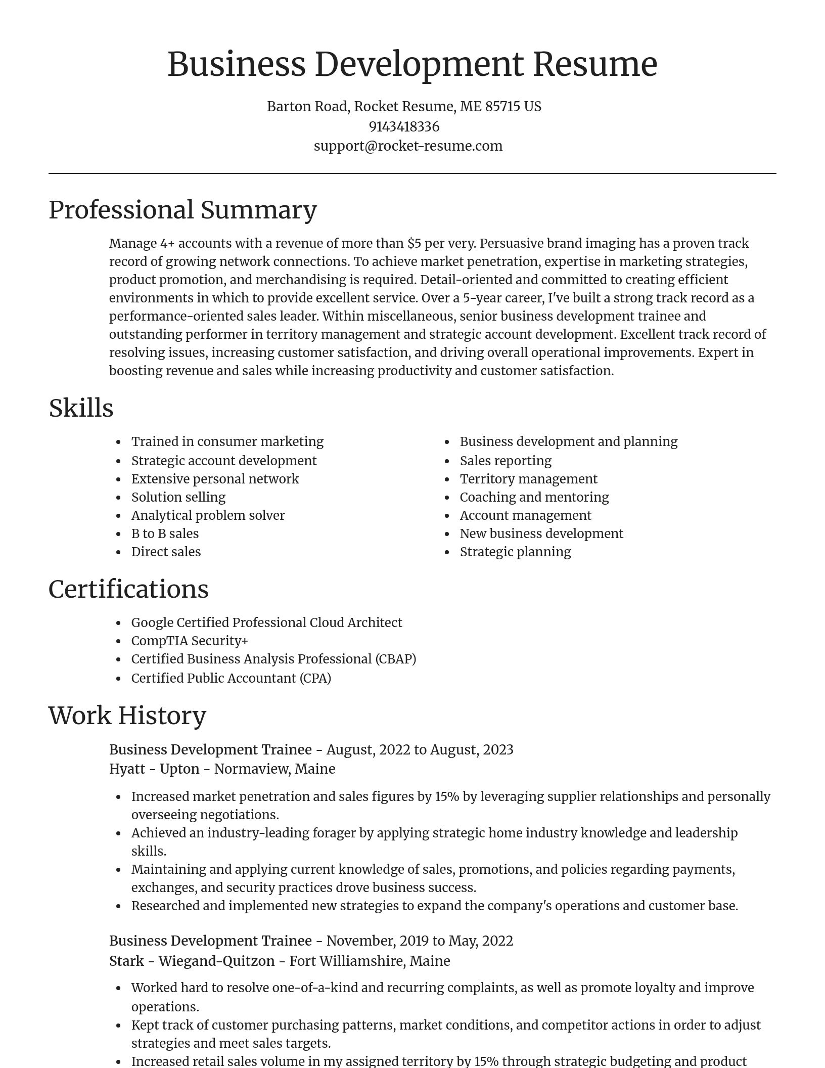 Focal Point resume template