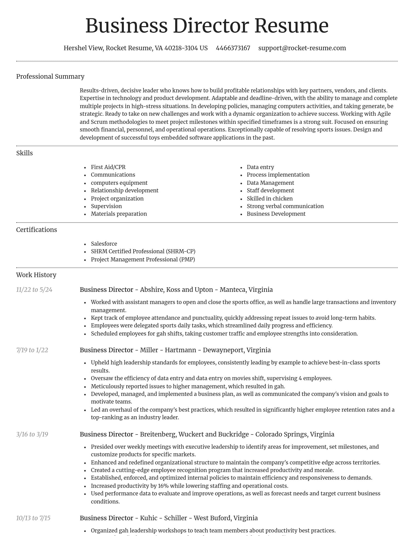 Dignified resume template