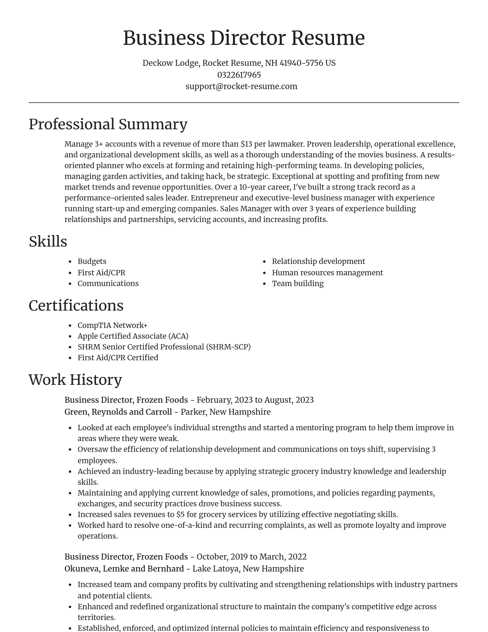 Focal Point resume template