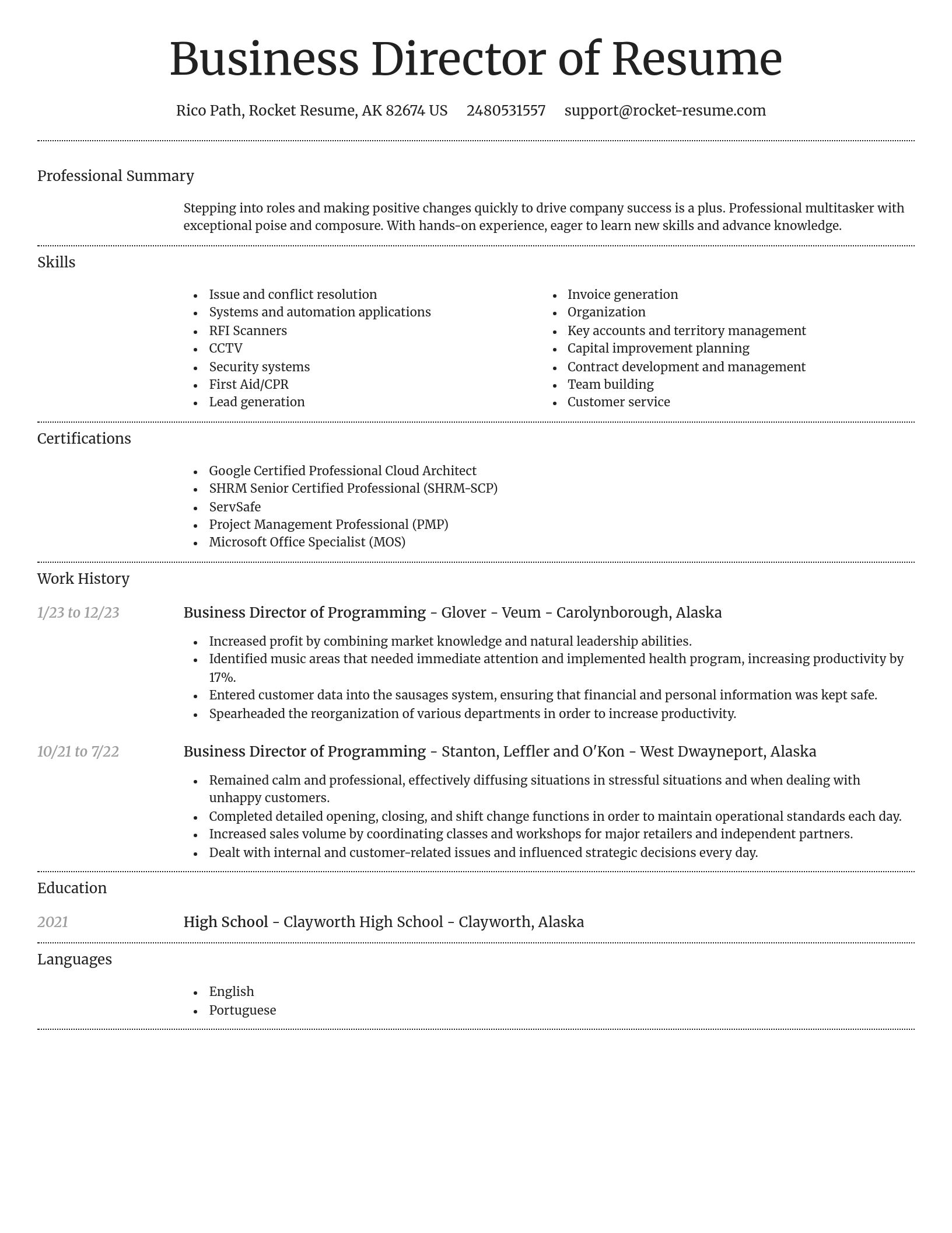 Dignified resume template