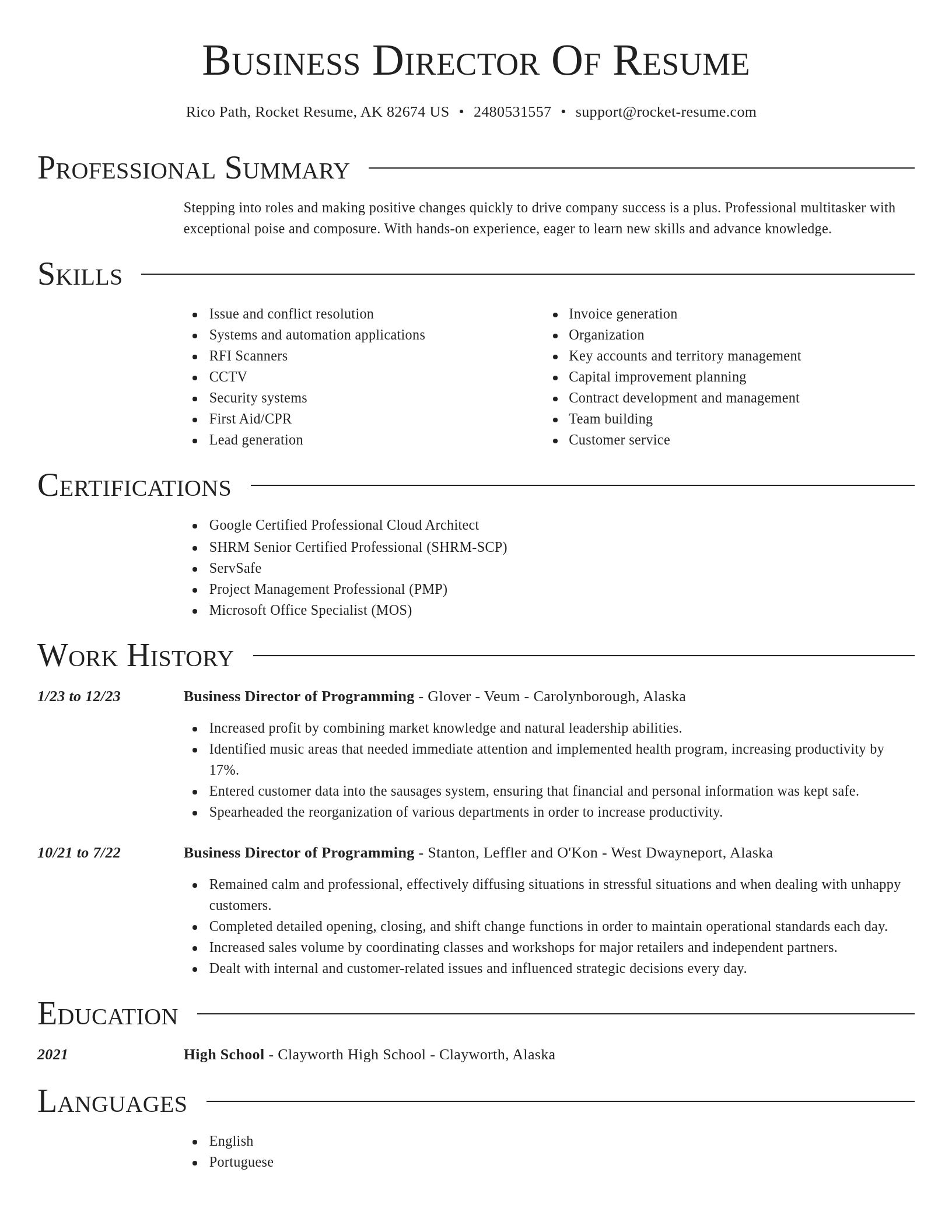 Director resume template