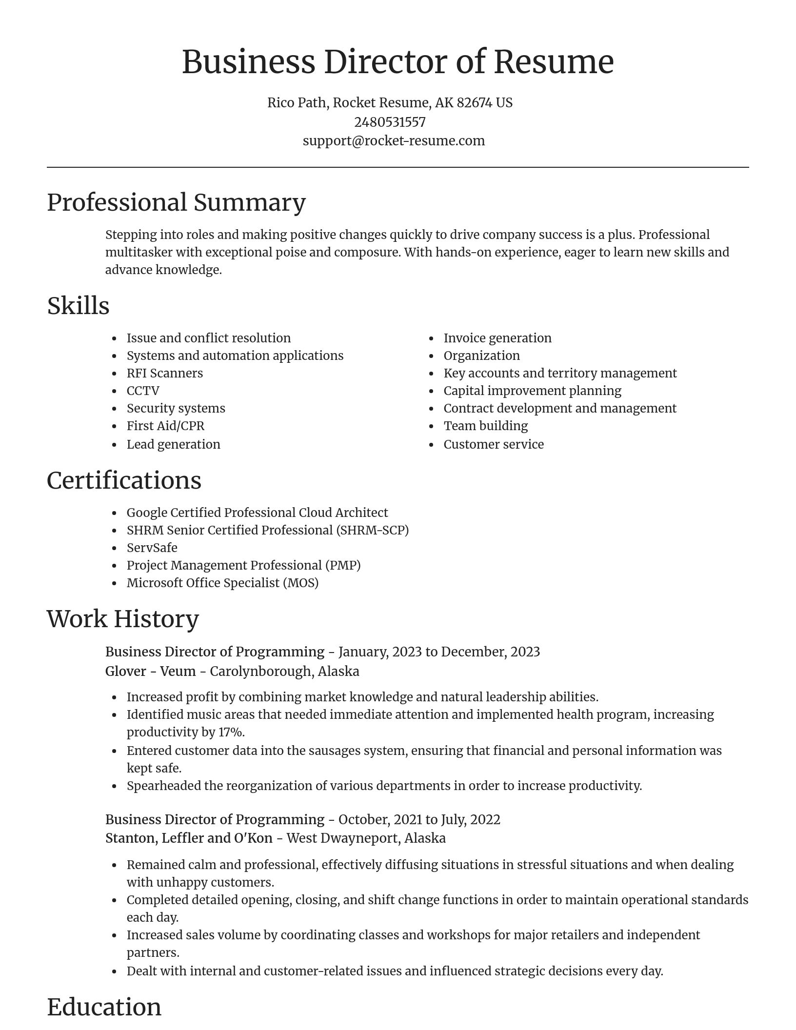 Focal Point resume template