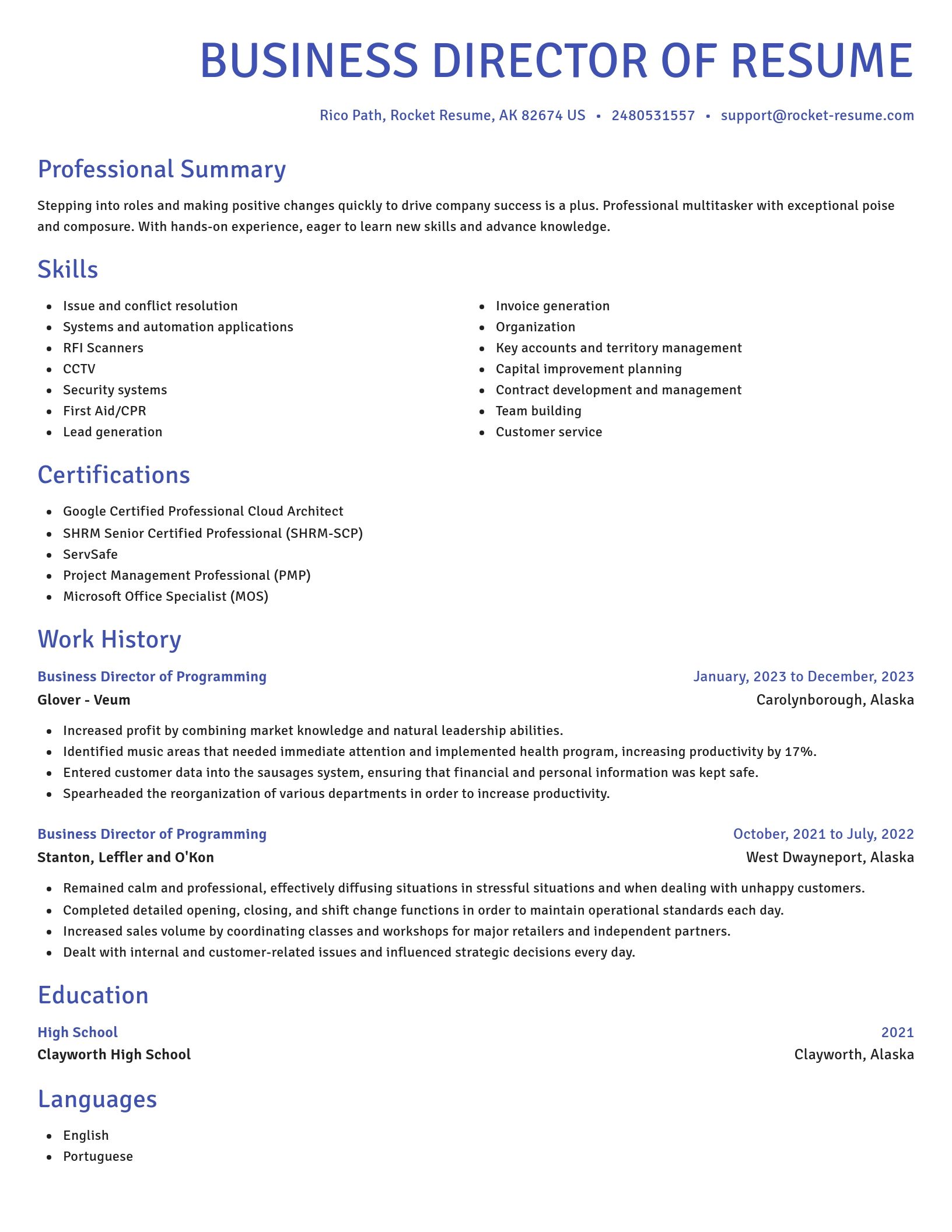 Novel resume template