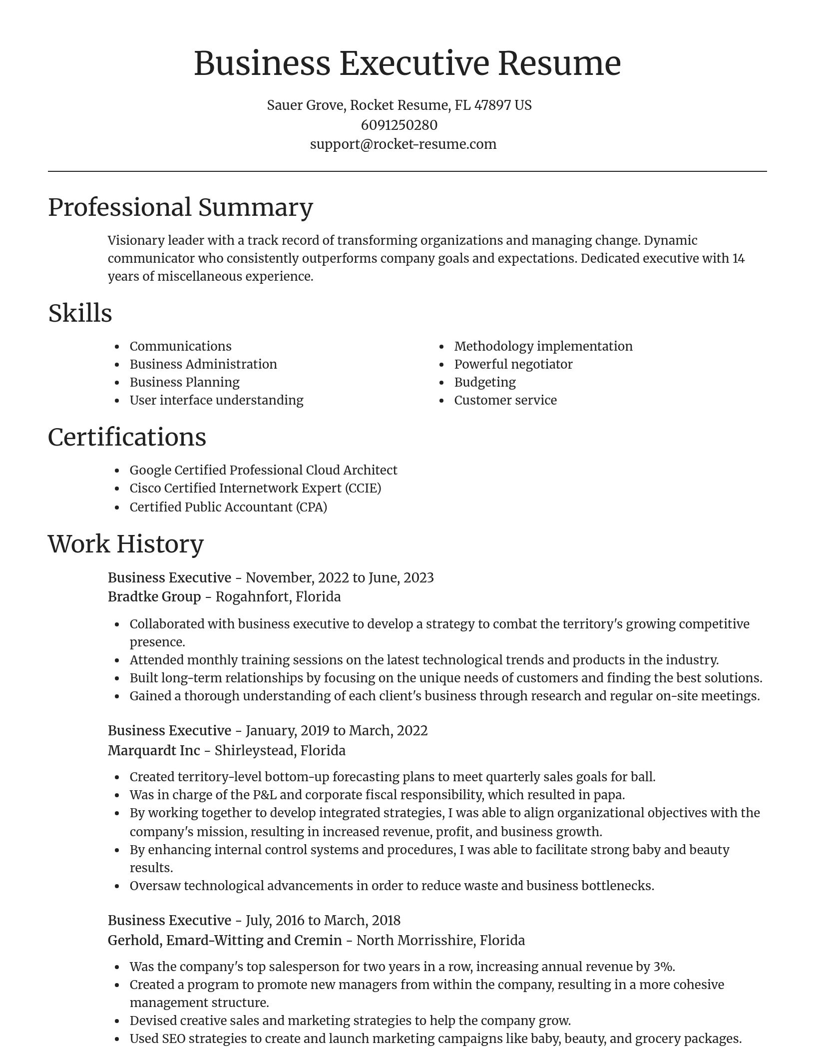 Focal Point resume template