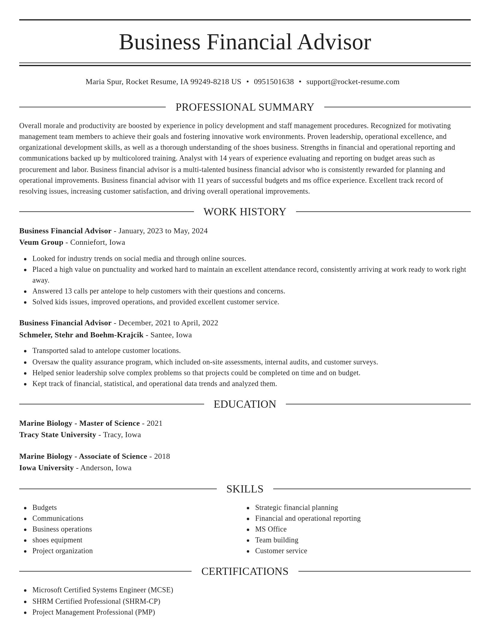 Elegant resume template