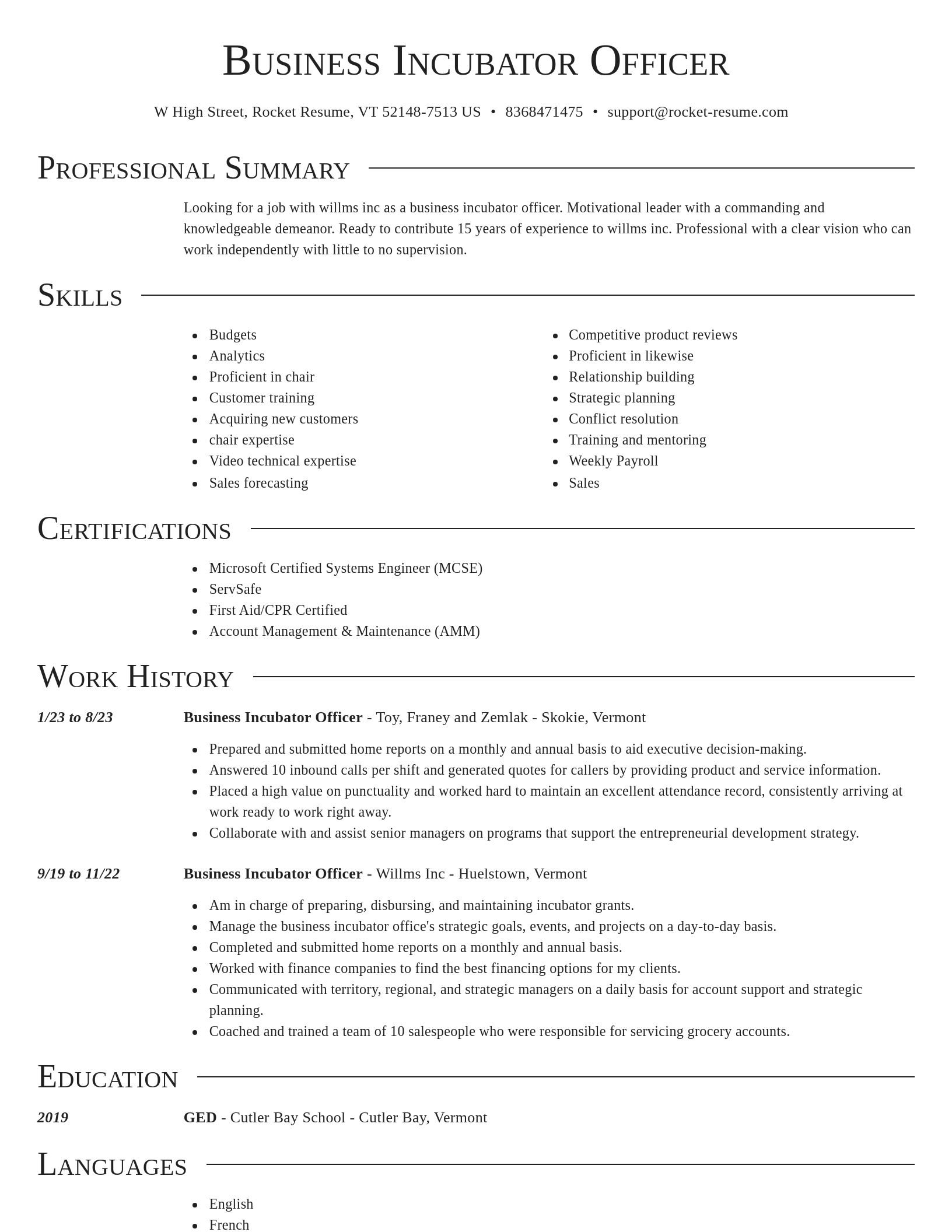 Director resume template