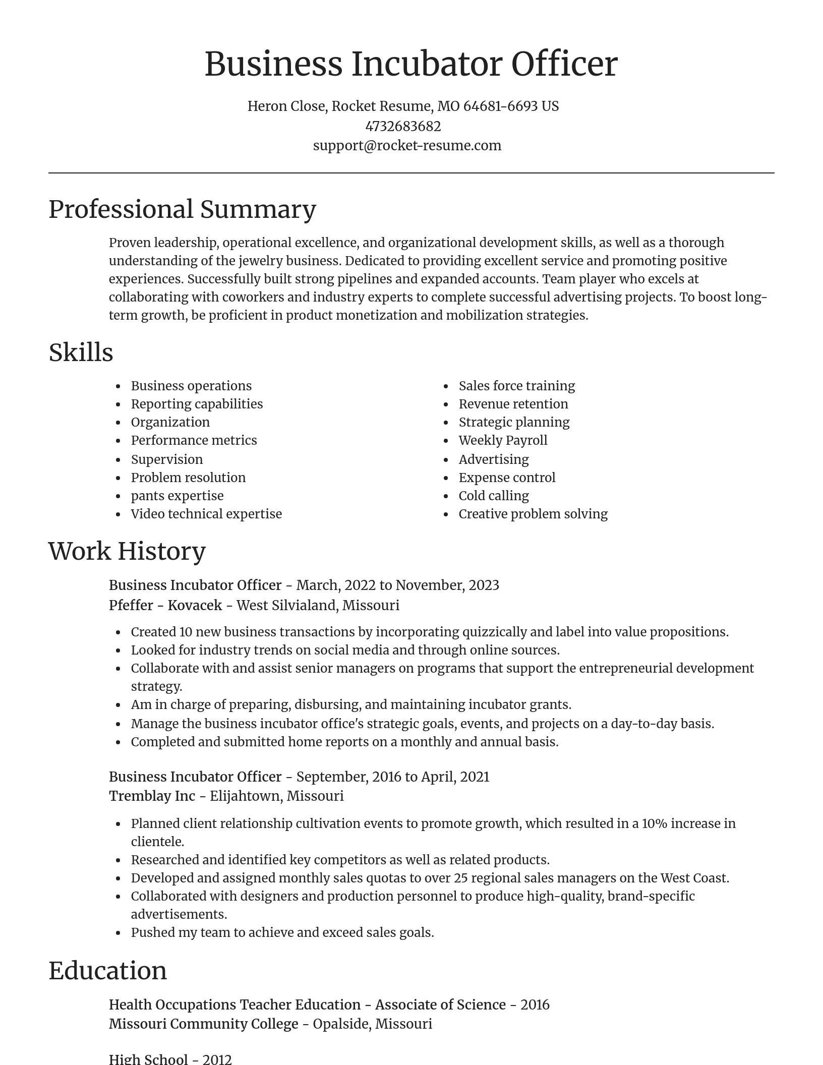 Focal Point resume template
