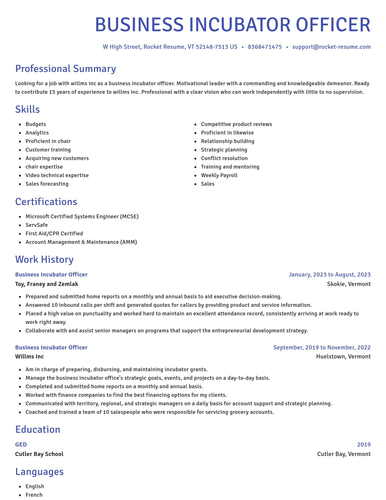 Novel resume template