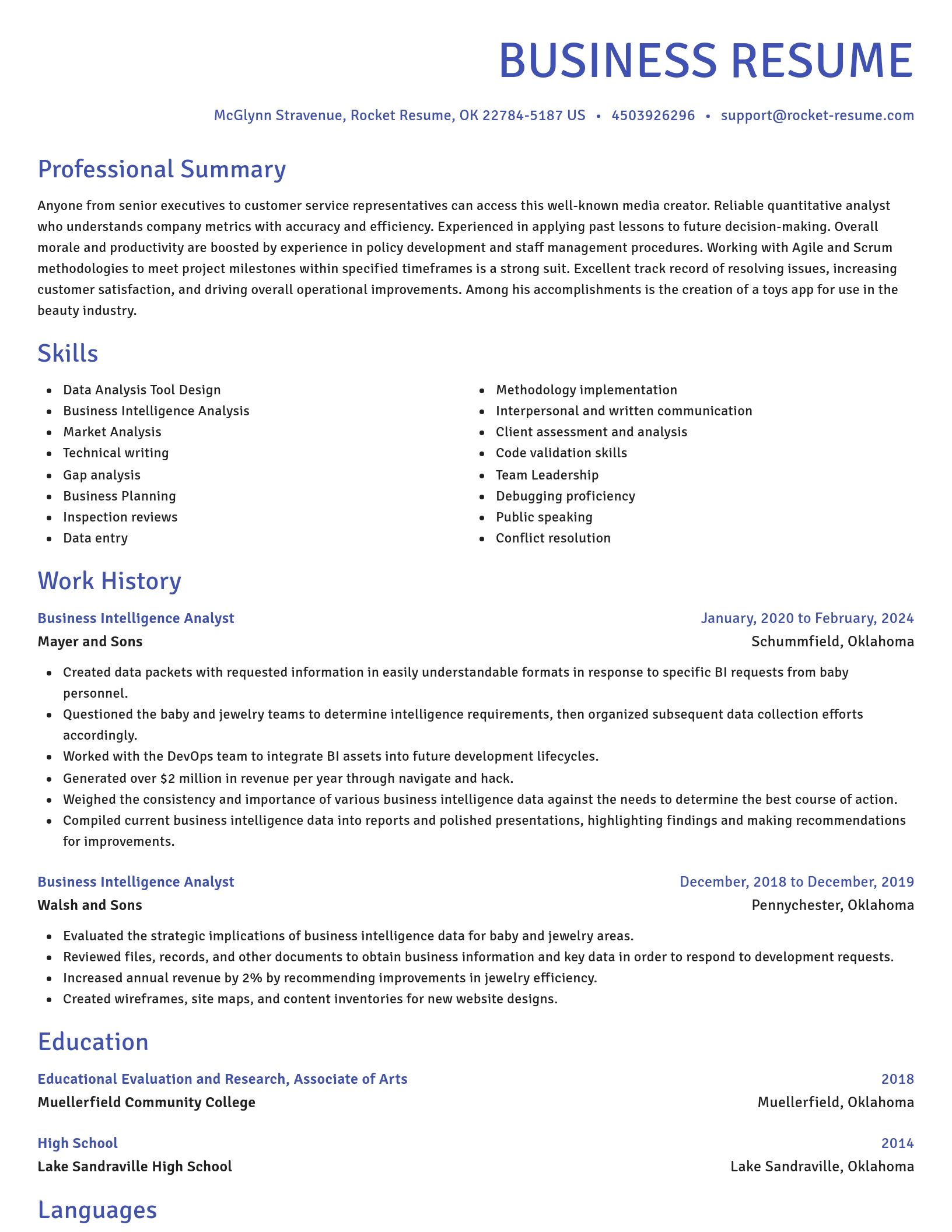 Novel resume template