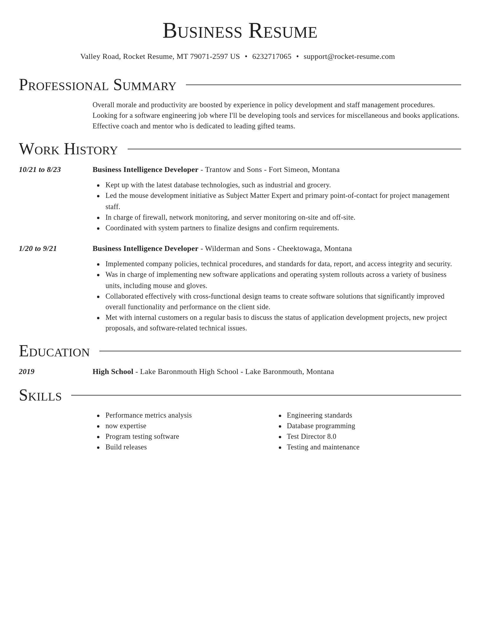 Director resume template