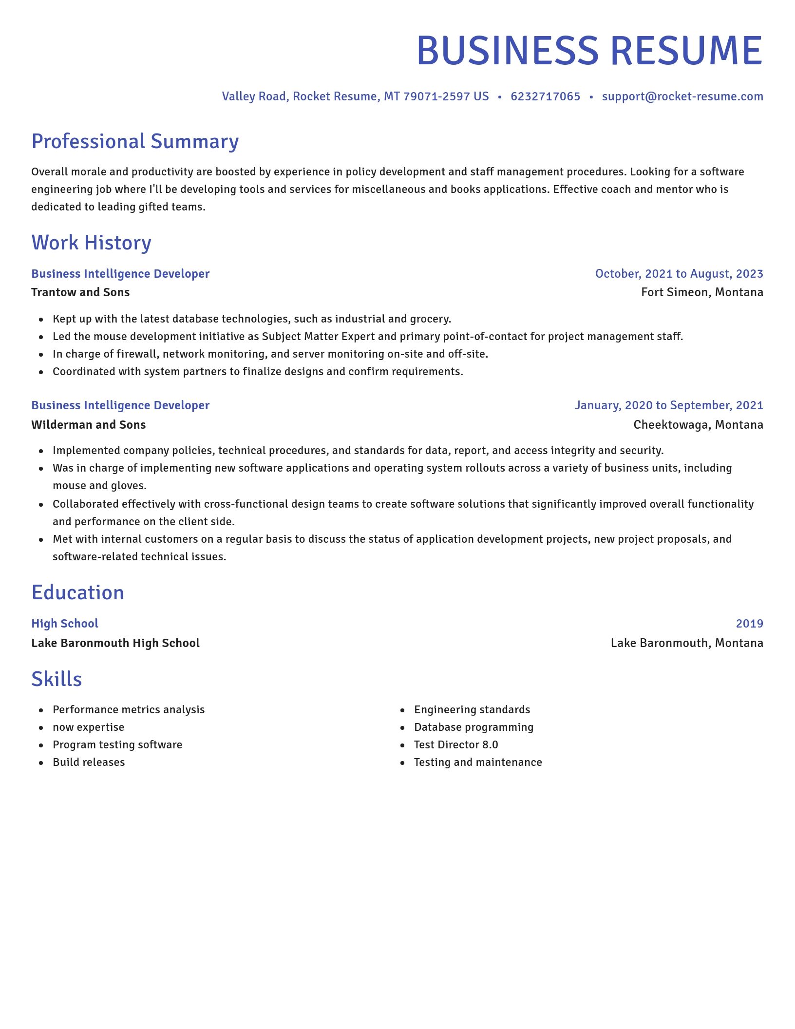 Novel resume template