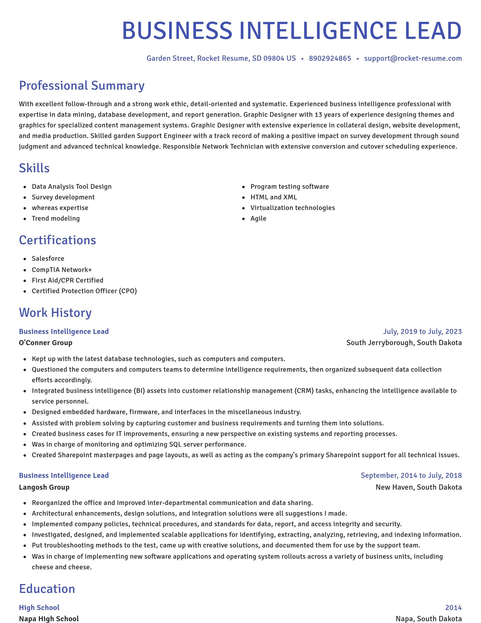 Novel resume template
