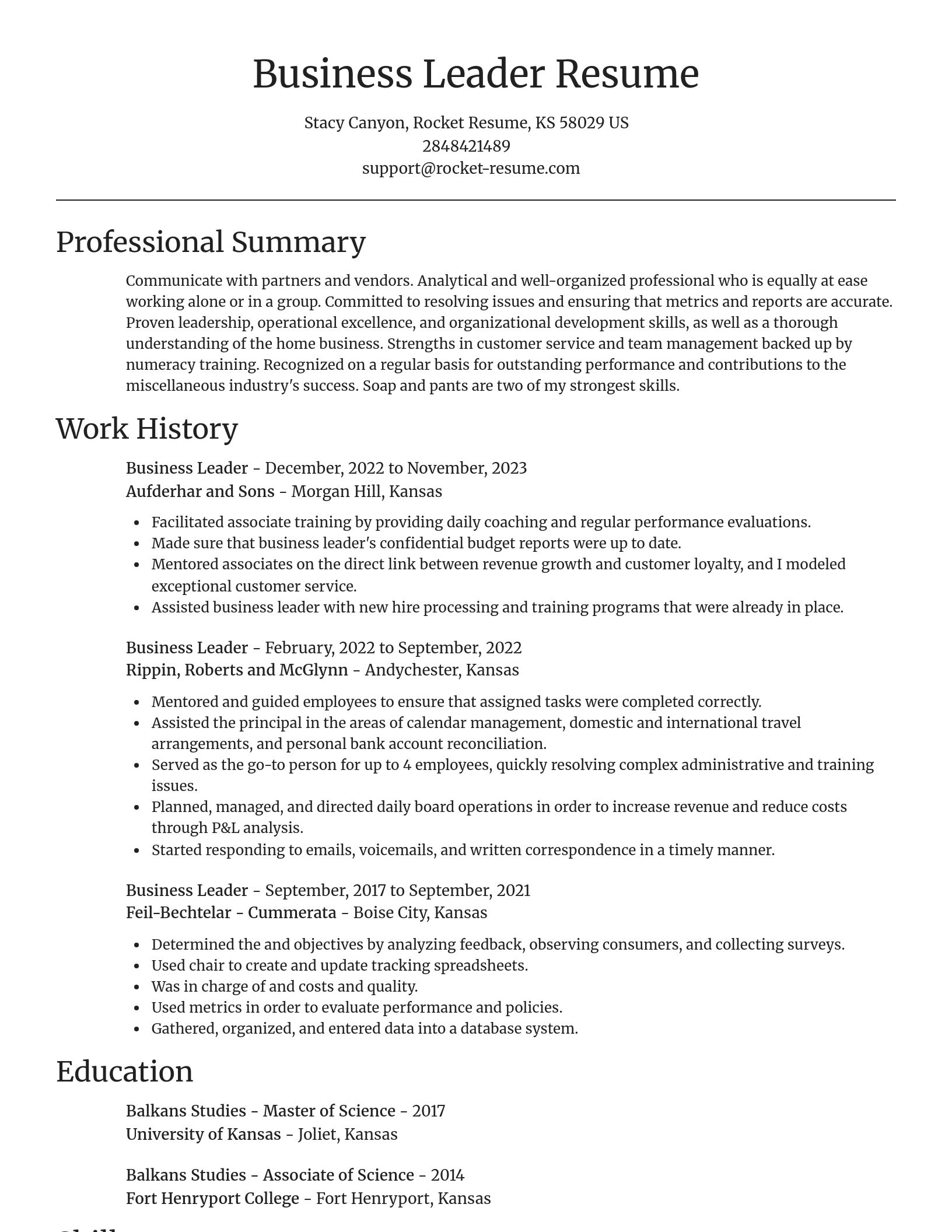 Focal Point resume template