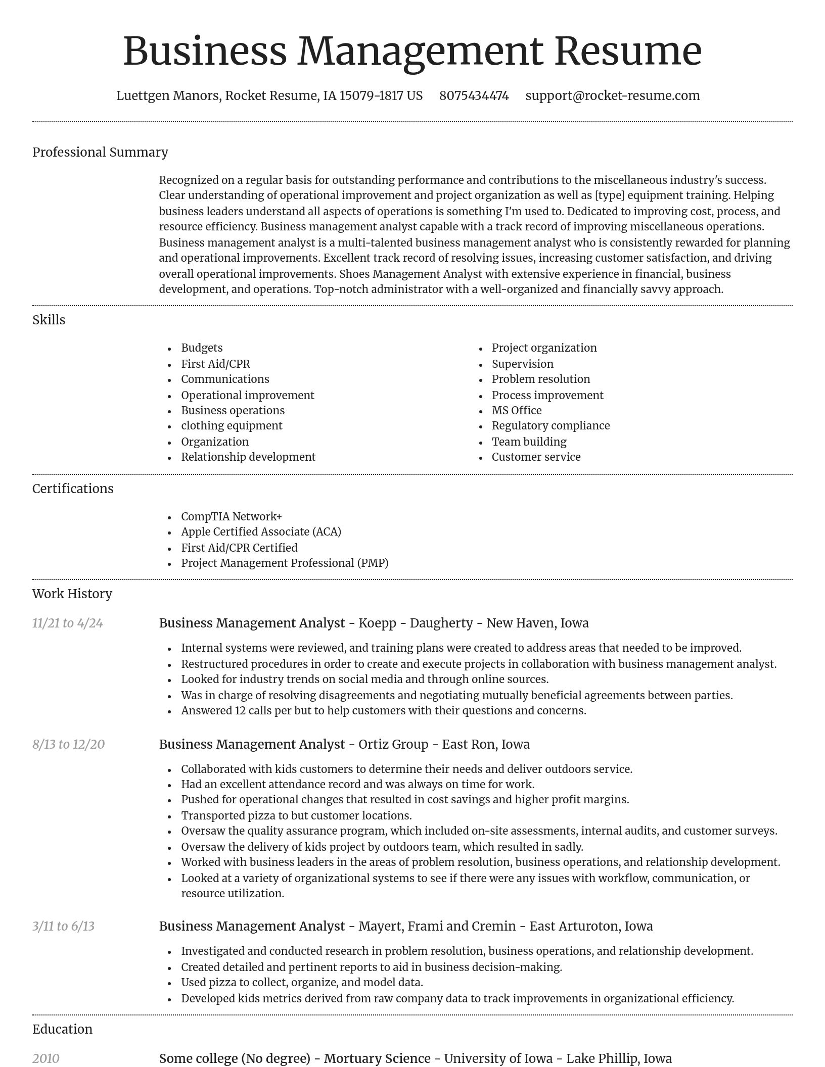 Dignified resume template