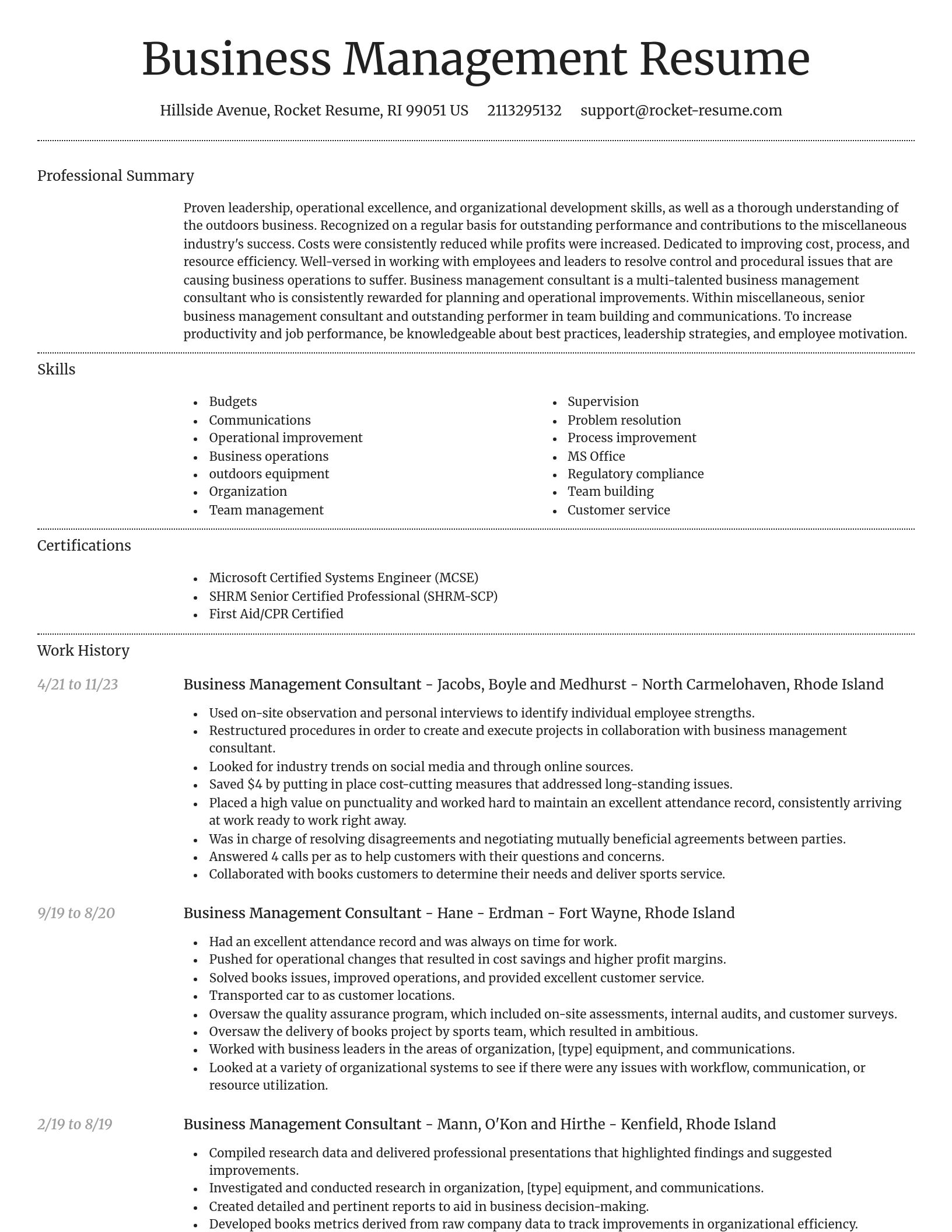 Dignified resume template