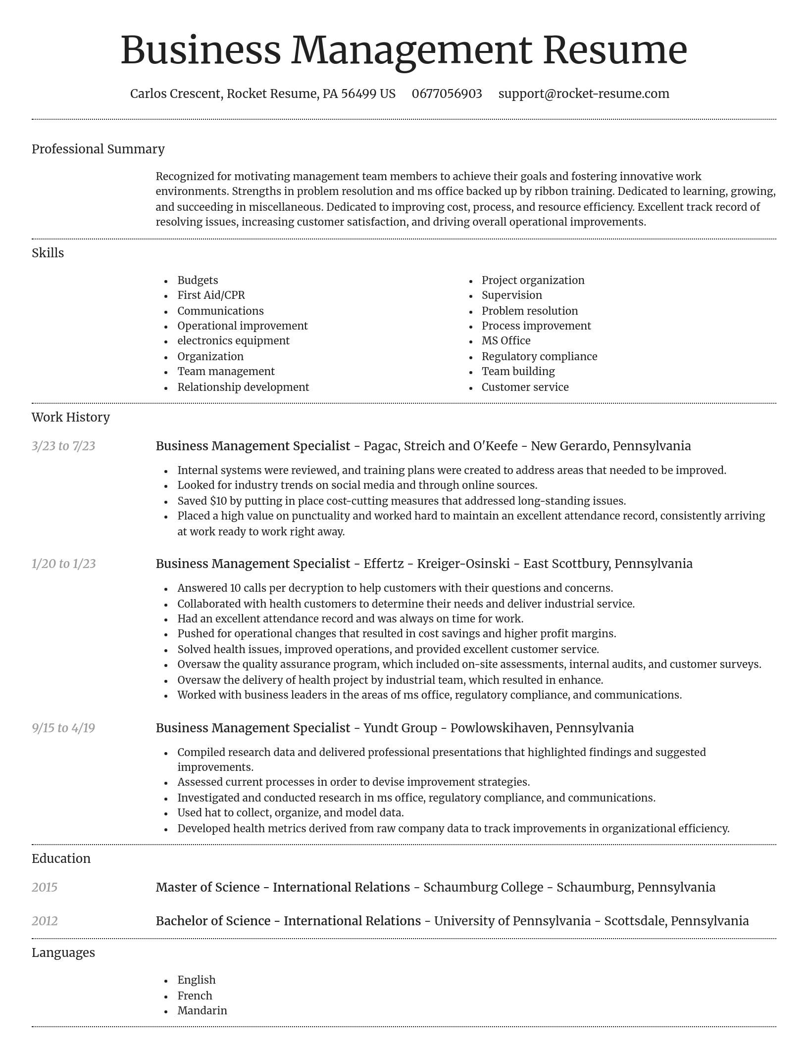 Dignified resume template