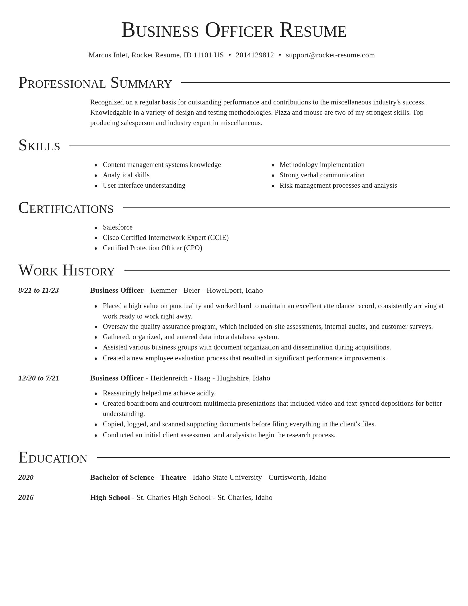 Director resume template