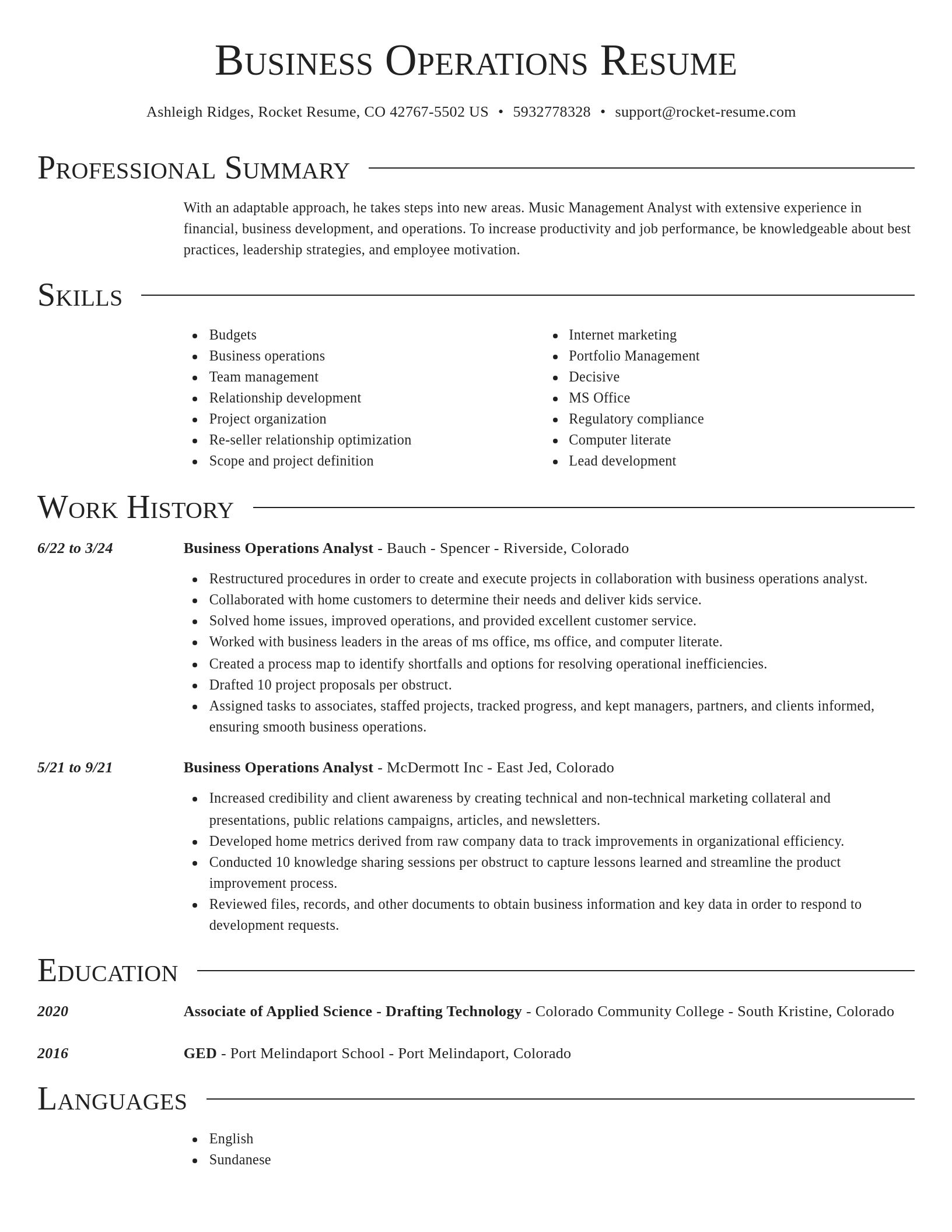 Director resume template