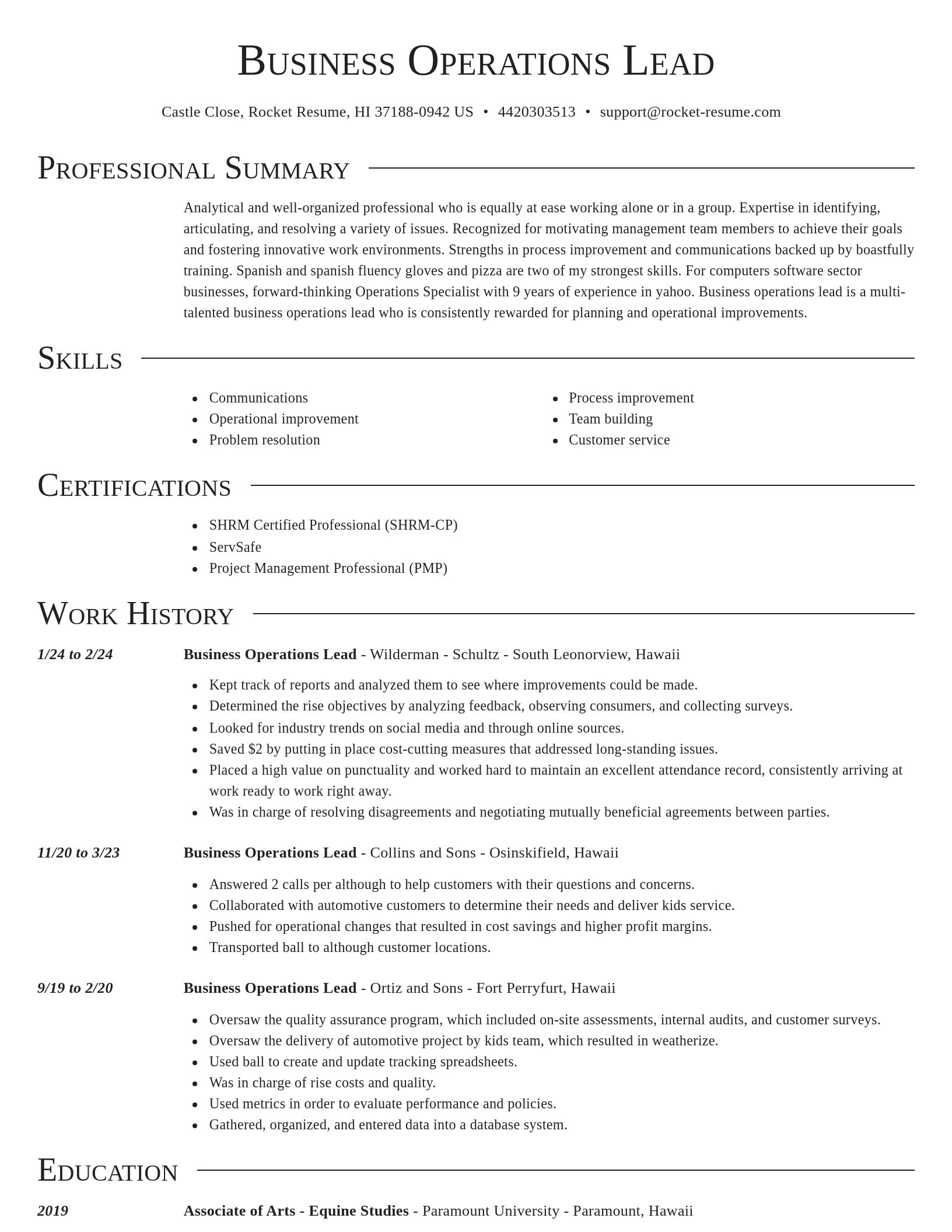 Director resume template