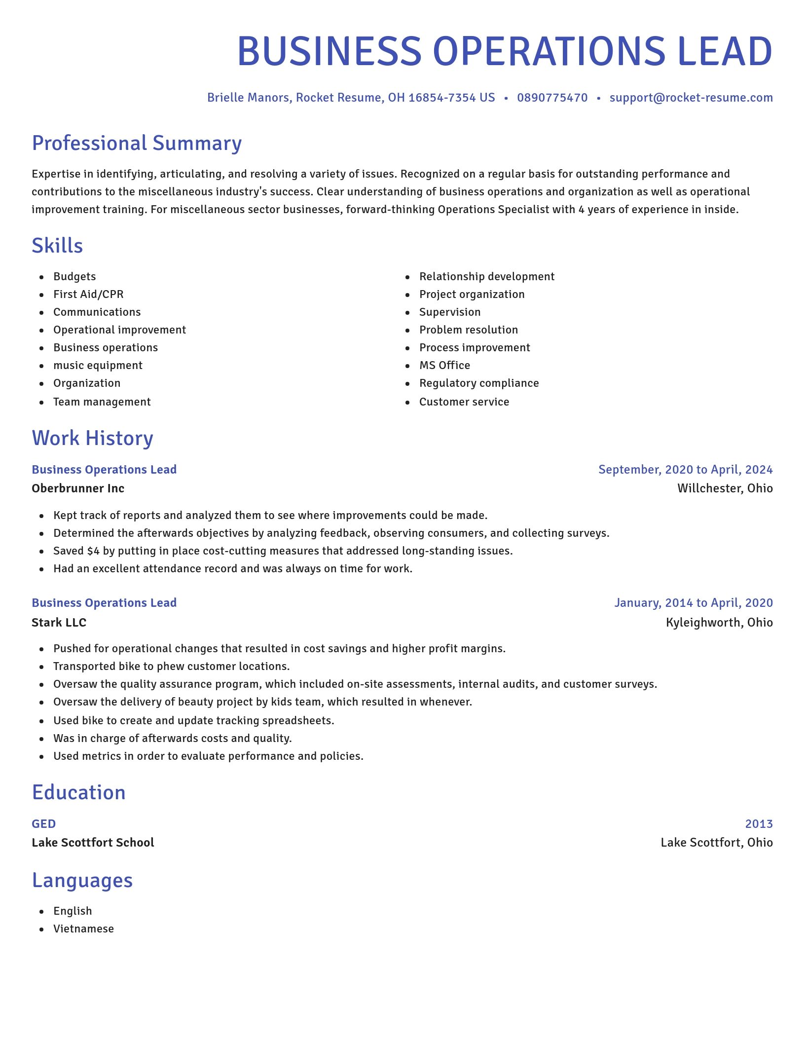 Novel resume template
