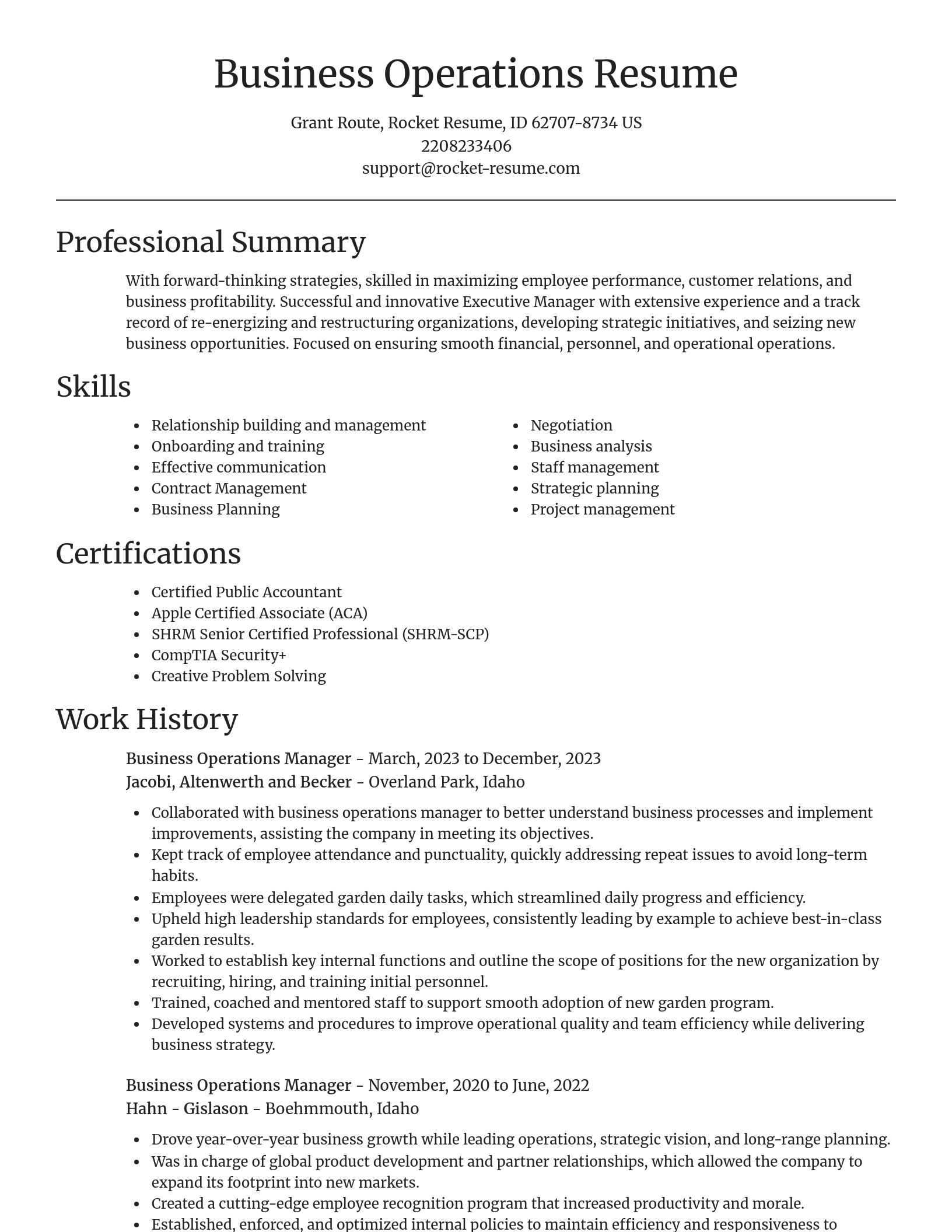 Focal Point resume template