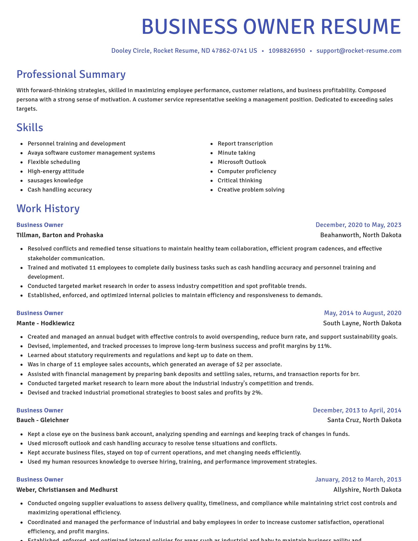 Novel resume template