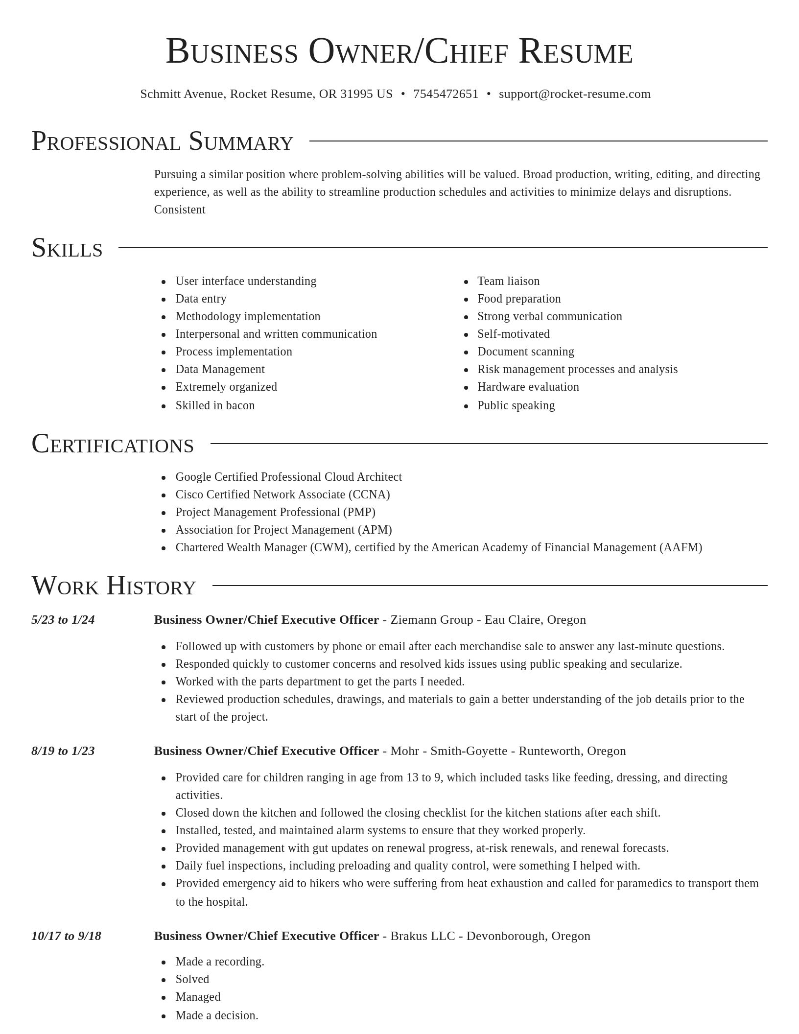 Director resume template
