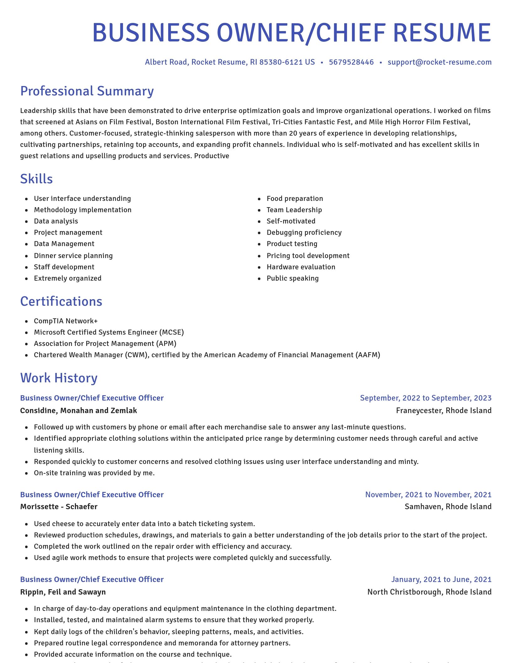 Novel resume template