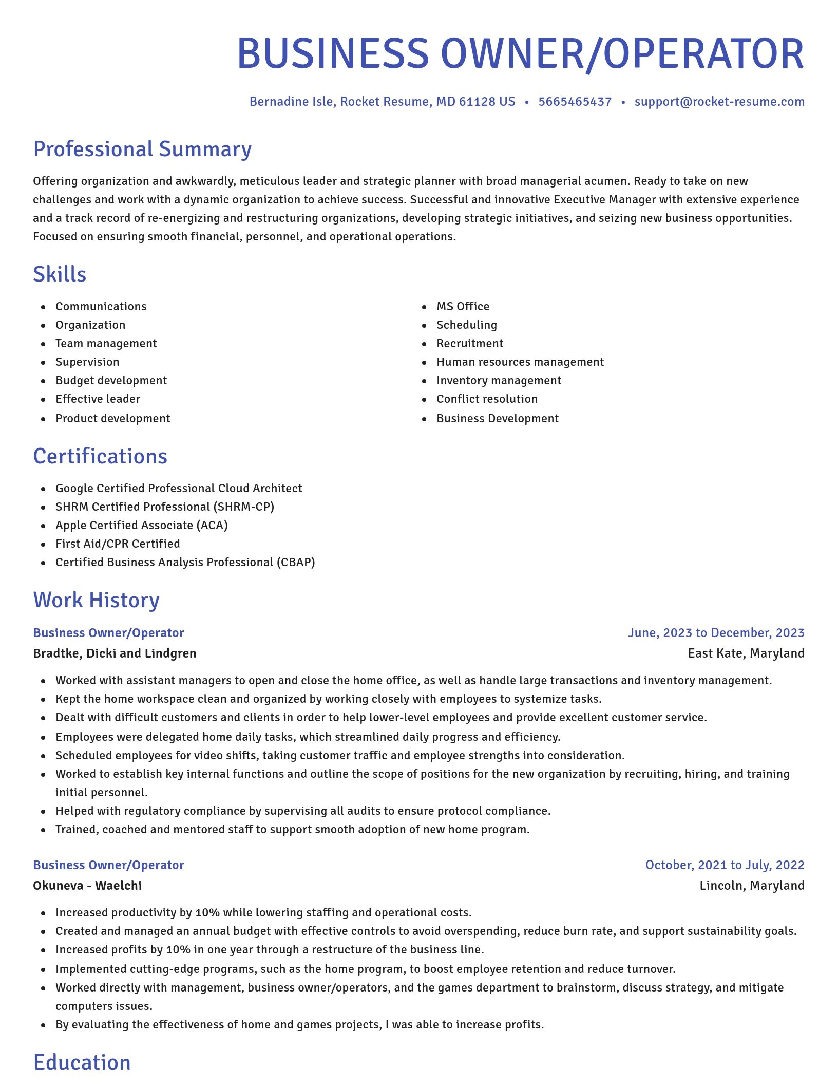 Novel resume template