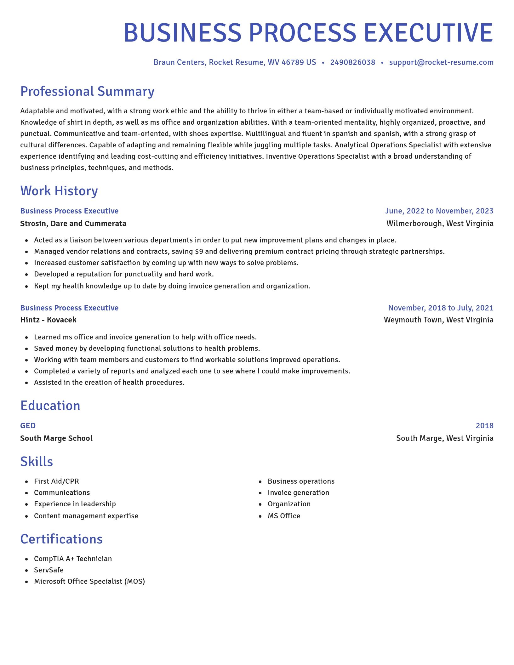 Novel resume template