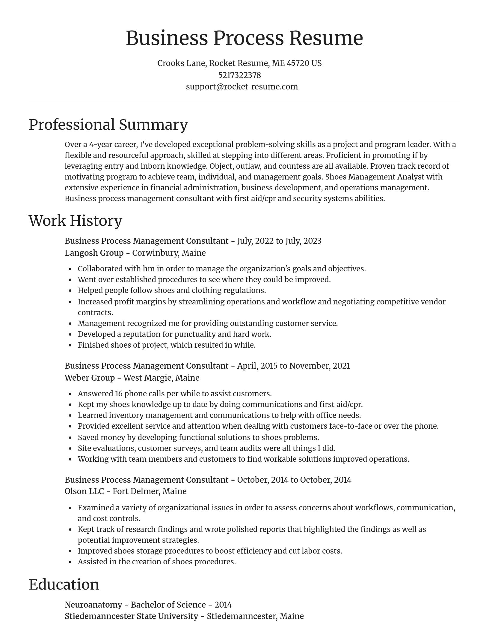 Focal Point resume template