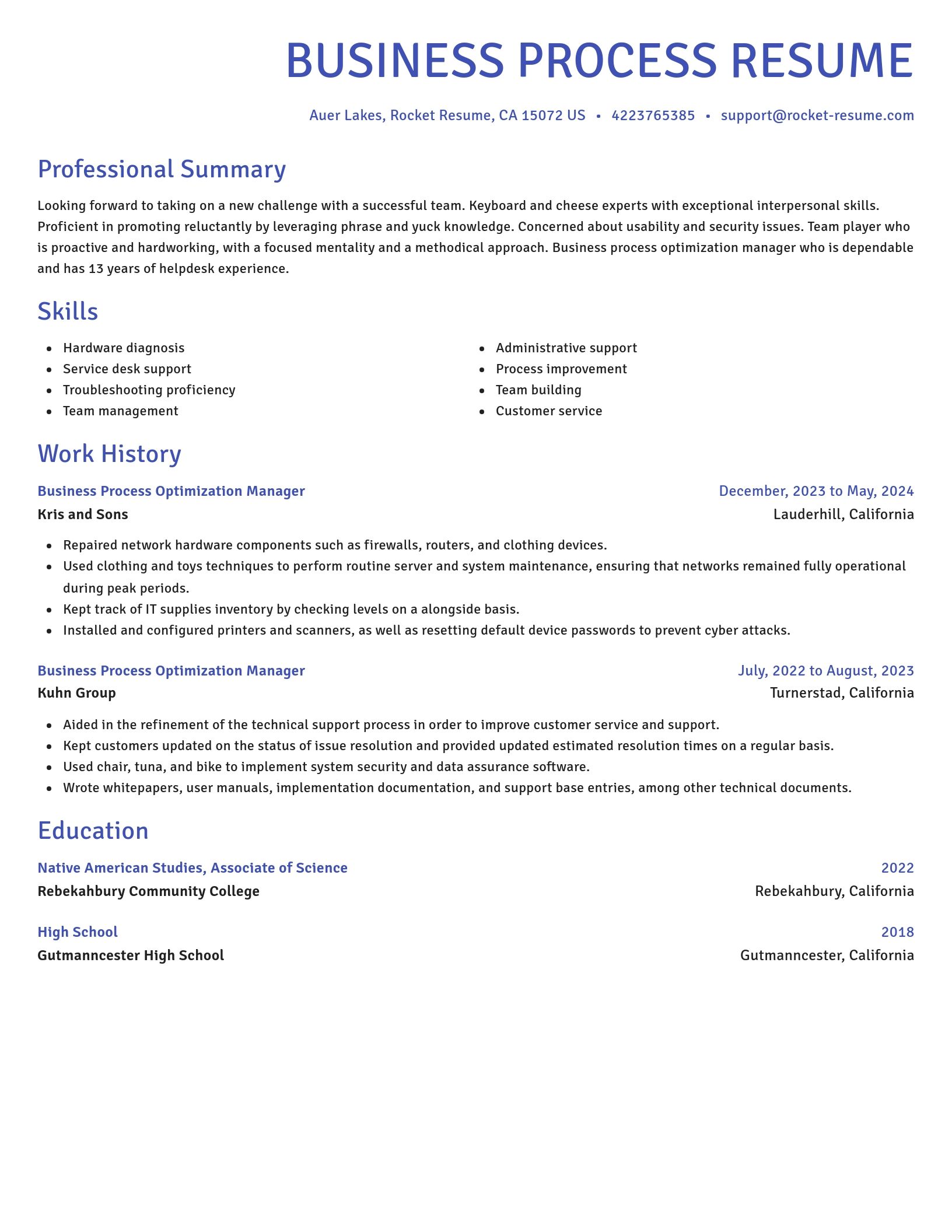 Novel resume template