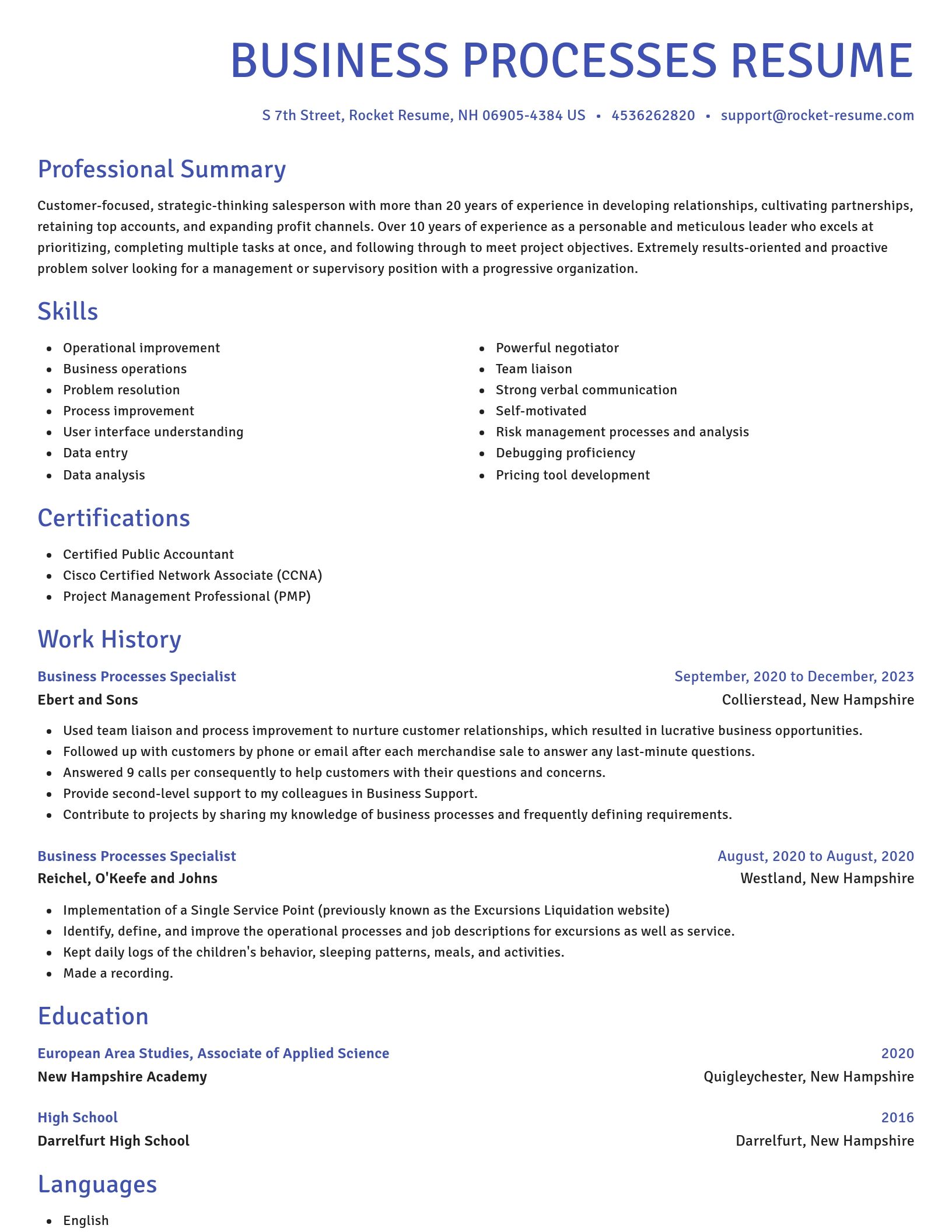 Novel resume template