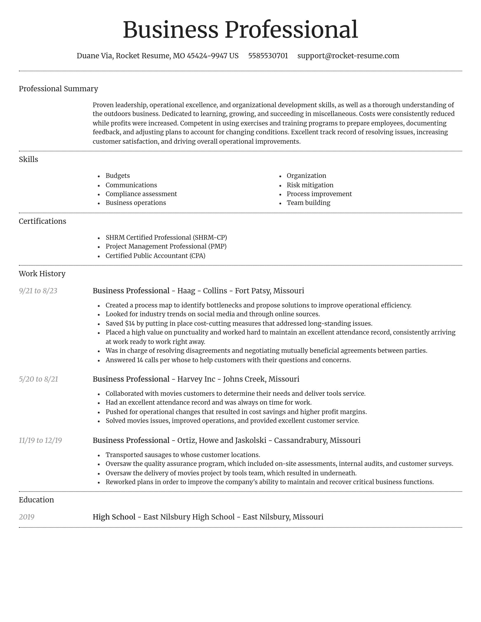 Dignified resume template