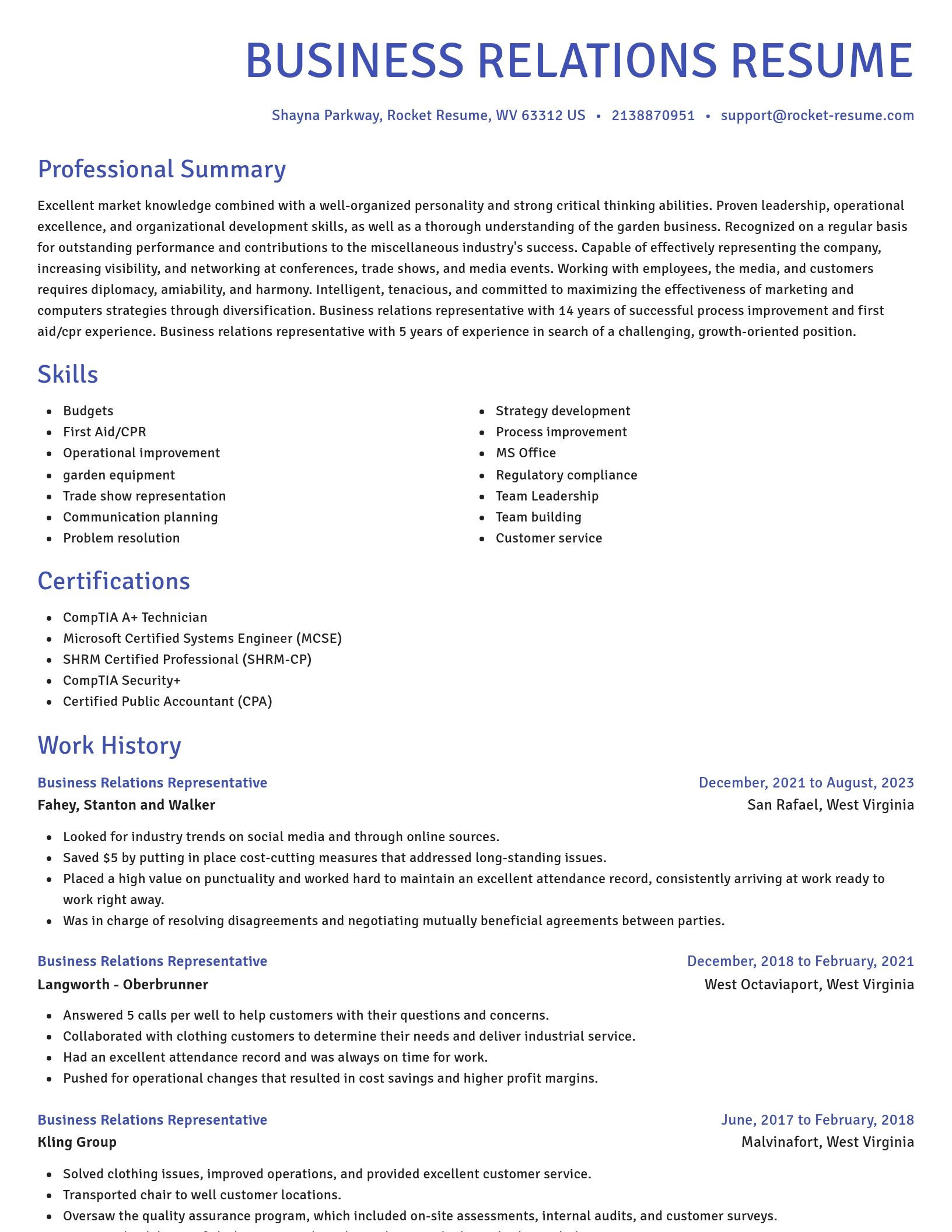 Novel resume template